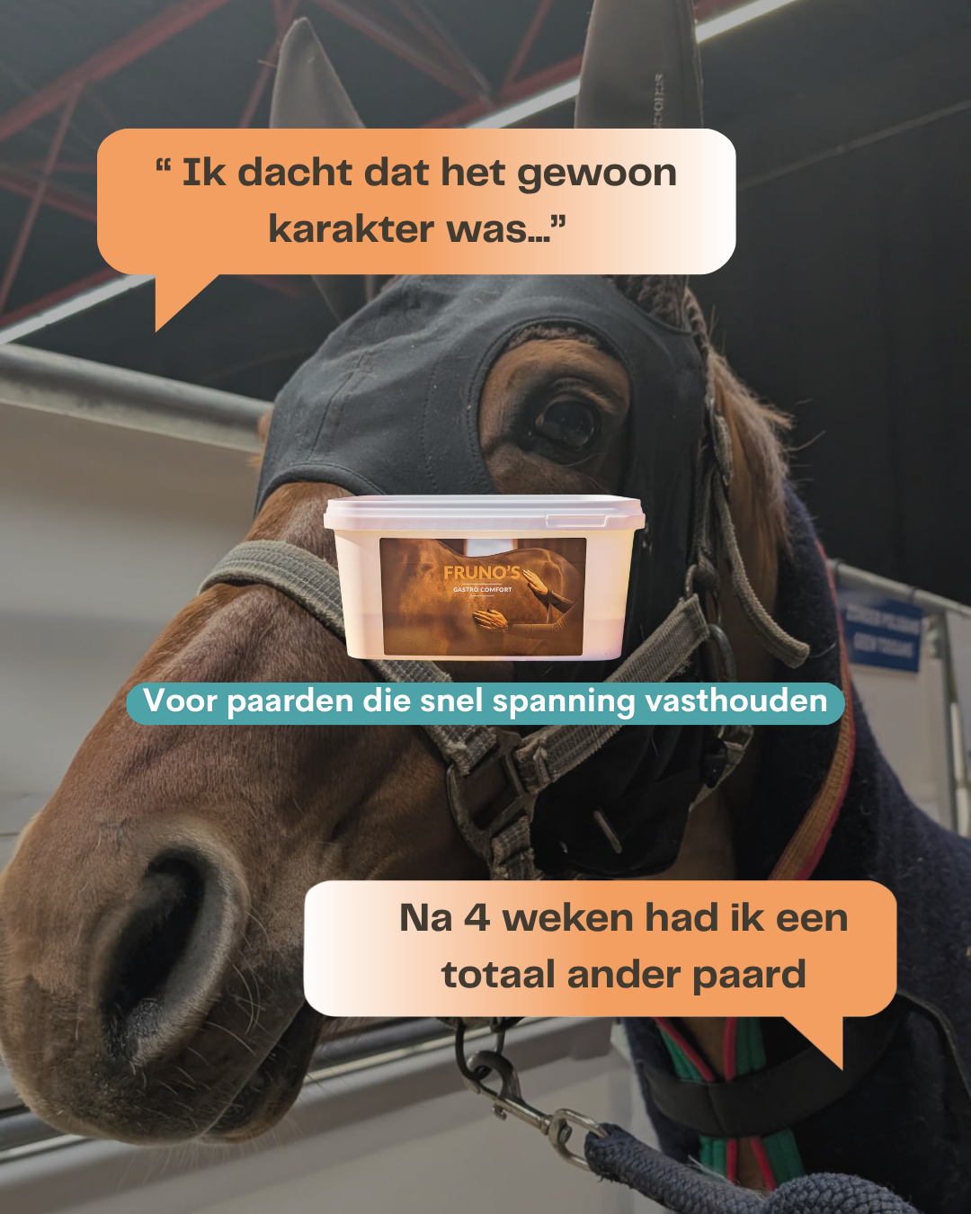 Frunos horse supplements Facebook ad: Fruno's Gastro Comfort voor paarden - Ondersteunt de maag…
