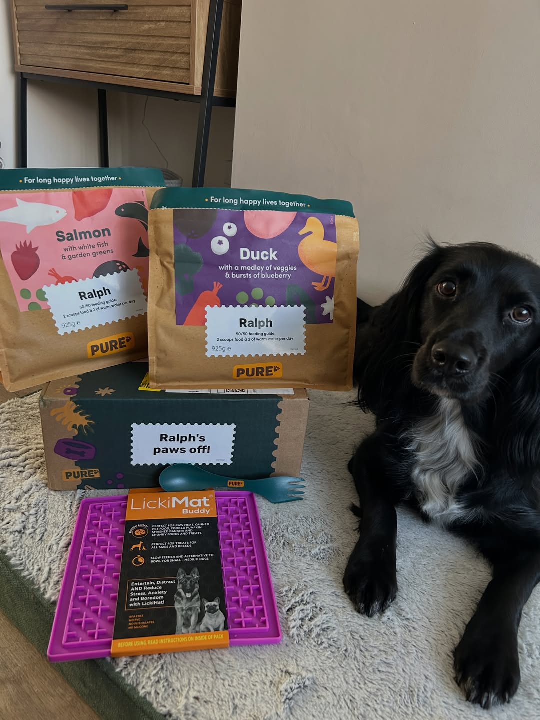 ralph.the.spaniel24 Facebook ad