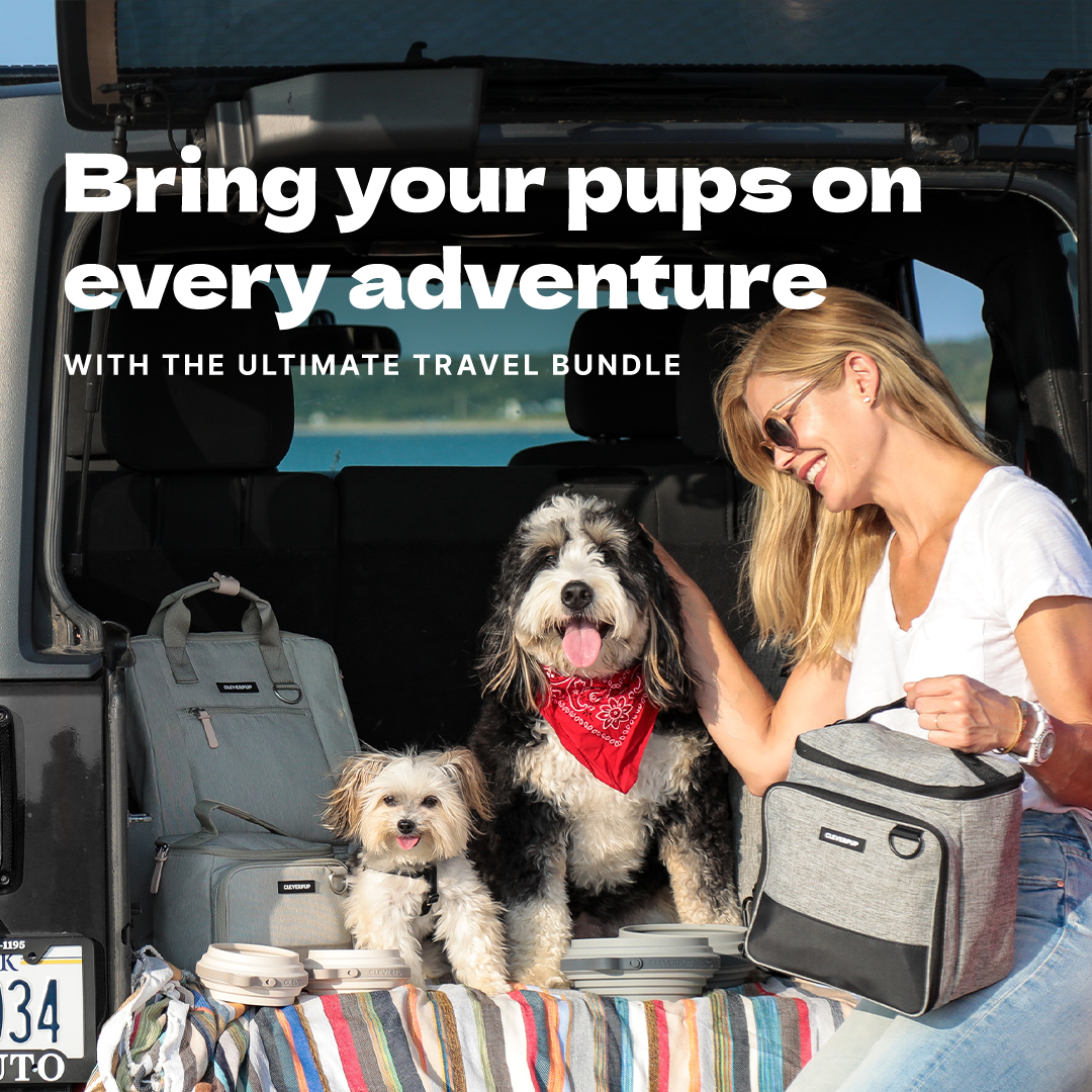 Cleverpup Facebook ad