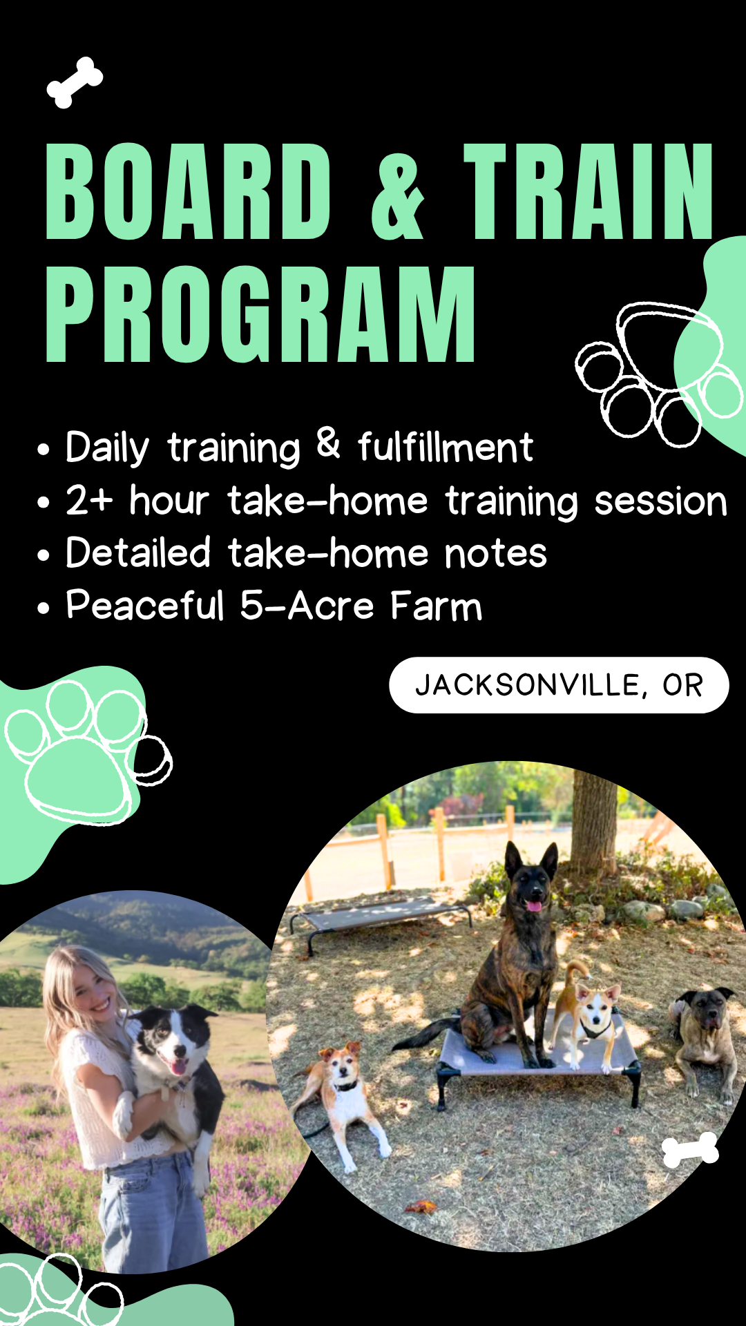 Companion Canine Dog Training Facebook ad from Nov 10, 2025