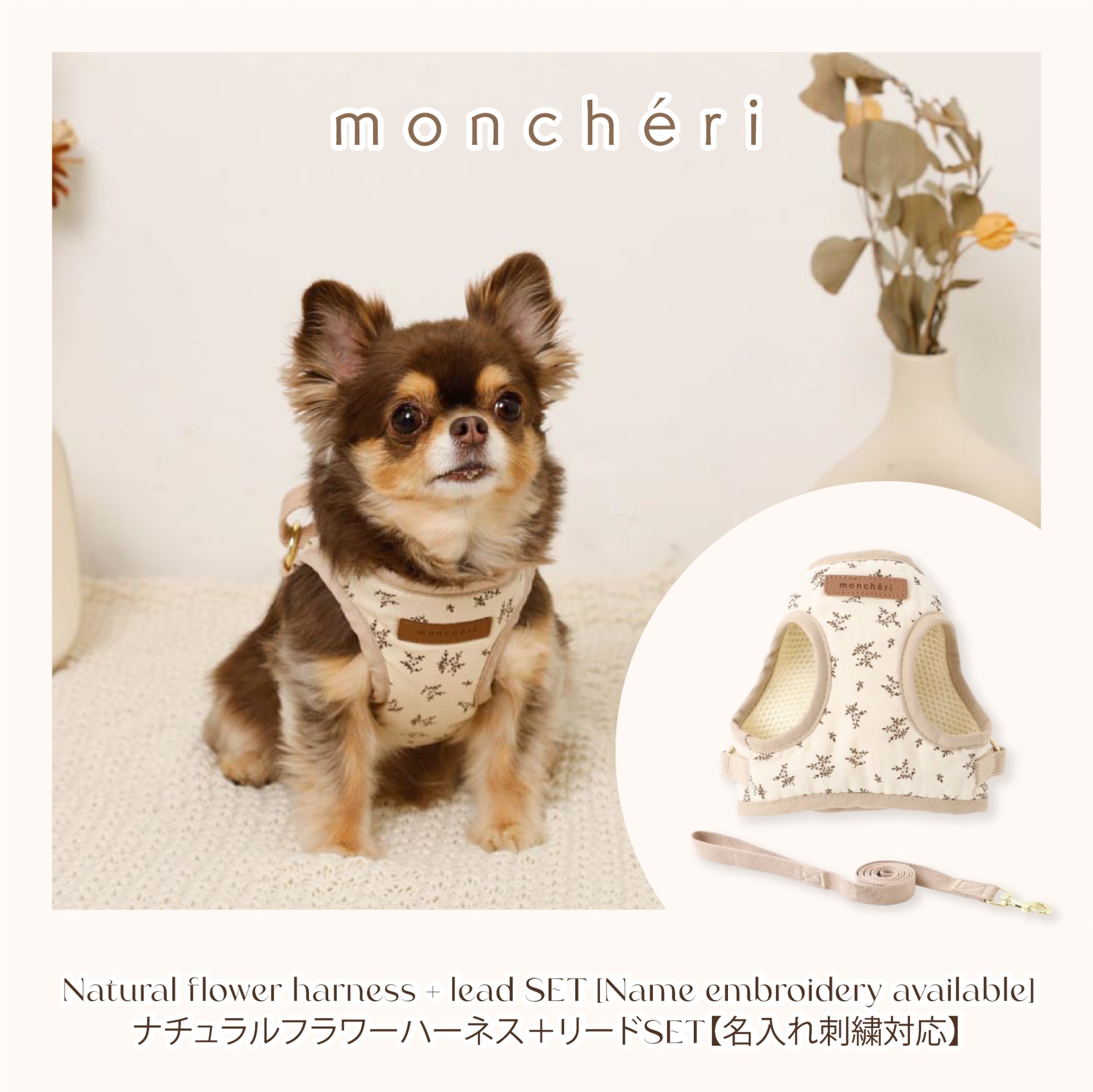 Monchéri Facebook ad