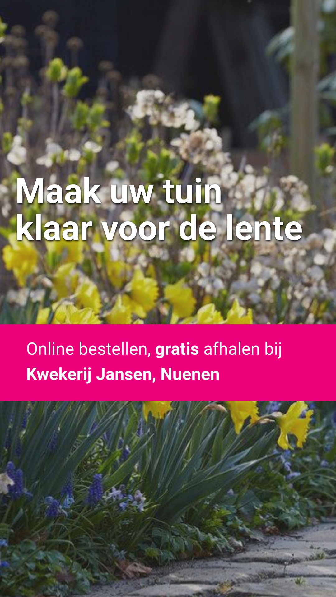 Directplant Facebook ad