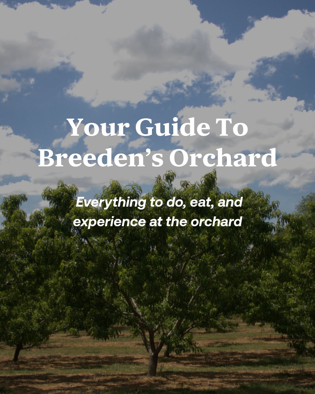 Breeden's Orchard Facebook ad: Come for the day, stay for the night…