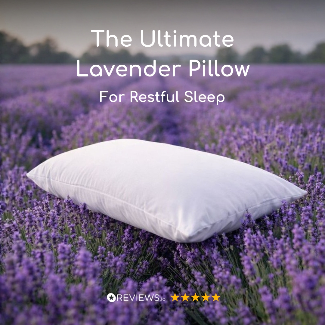Pillow World Facebook ad: Sleep Better with the Head2Sleep Lavender Pillow!