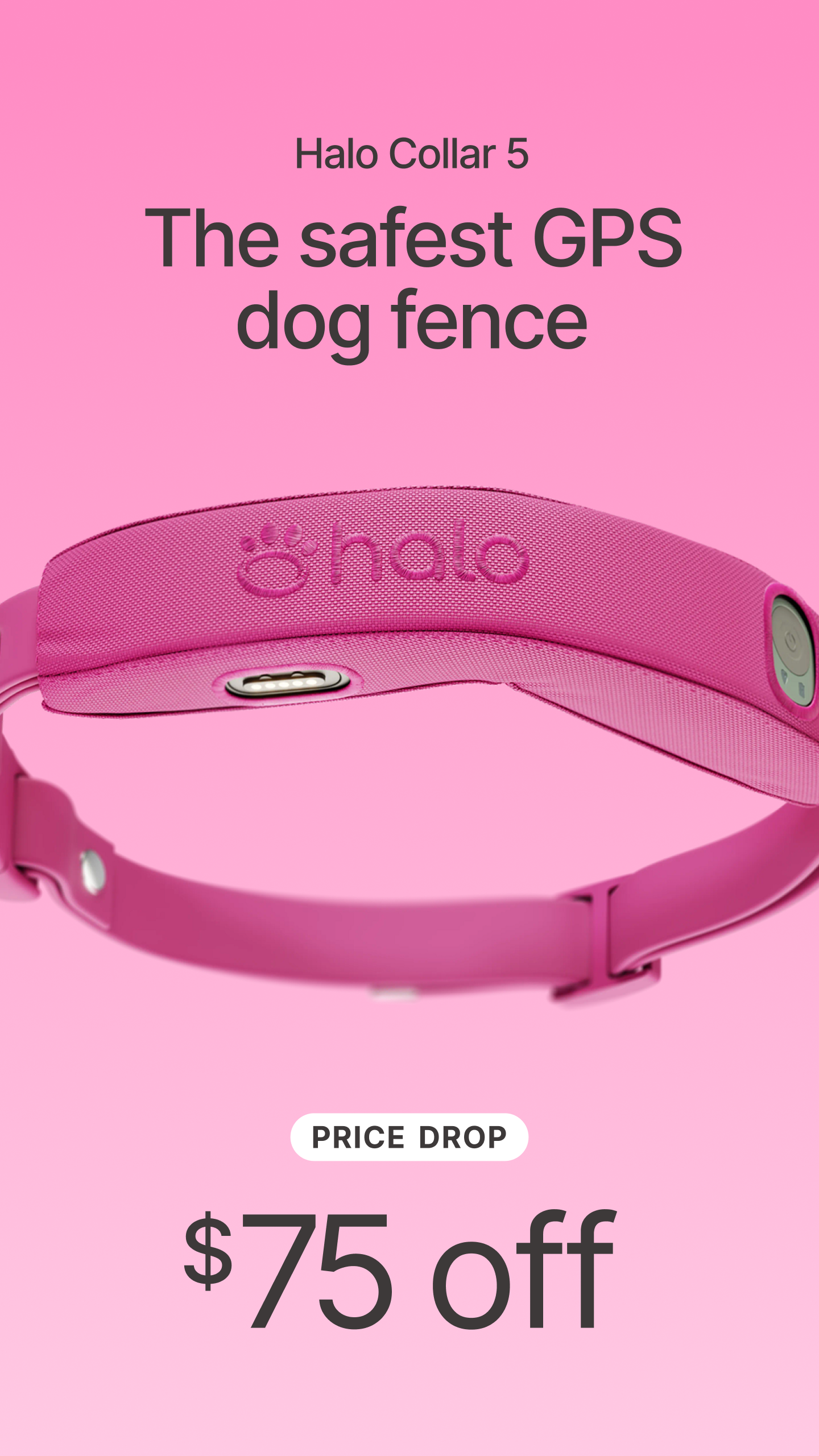 Halo Collar Facebook ad
