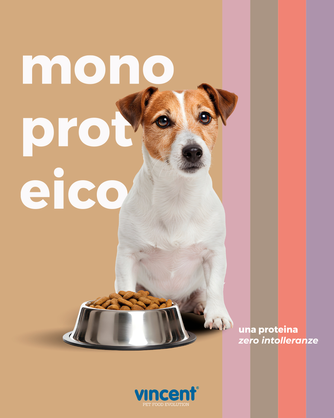 Vincent Pet Food Evolution Facebook ad from Nov 10, 2025