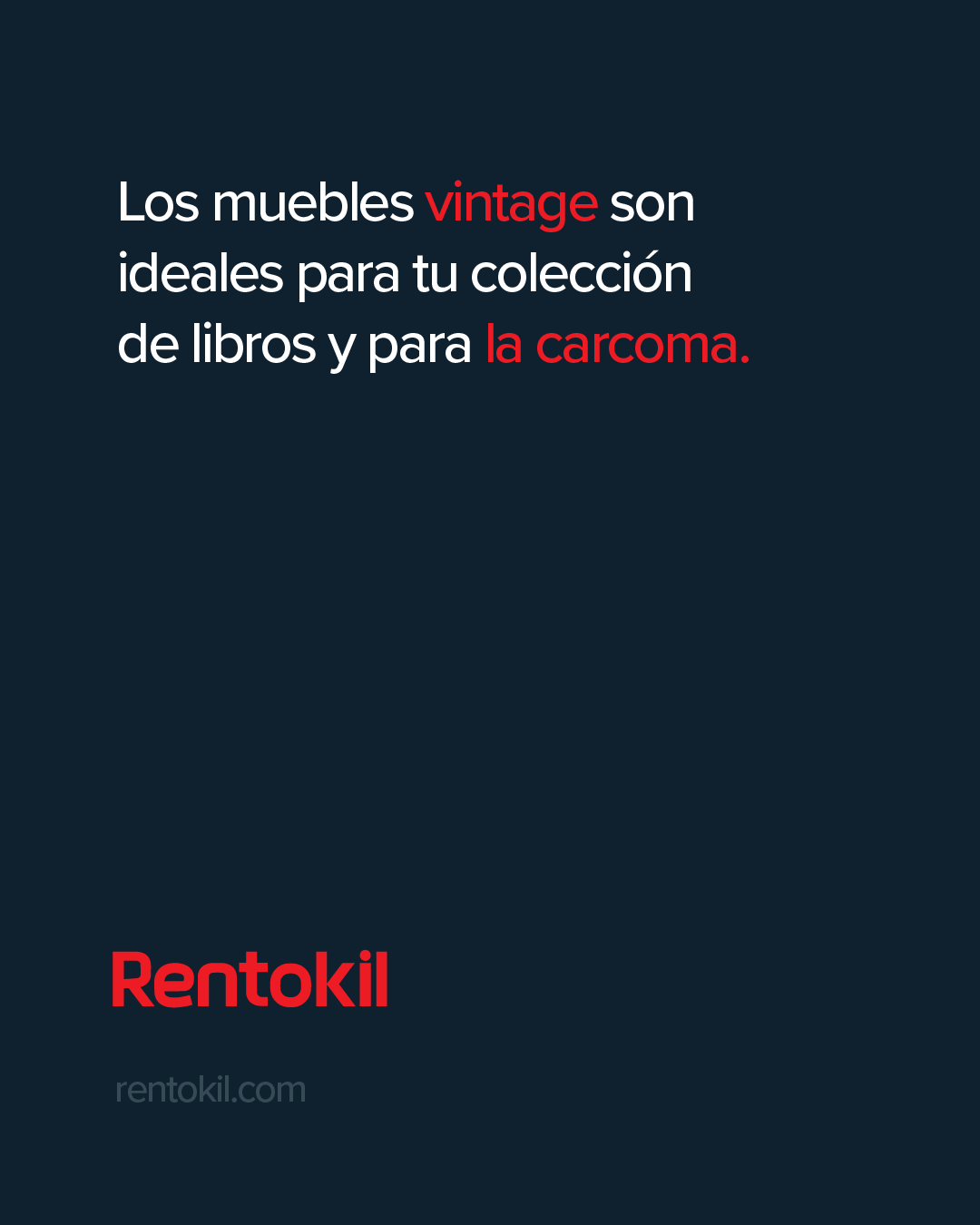Rentokil España Facebook ad: Tratamiento especializado contra termitas