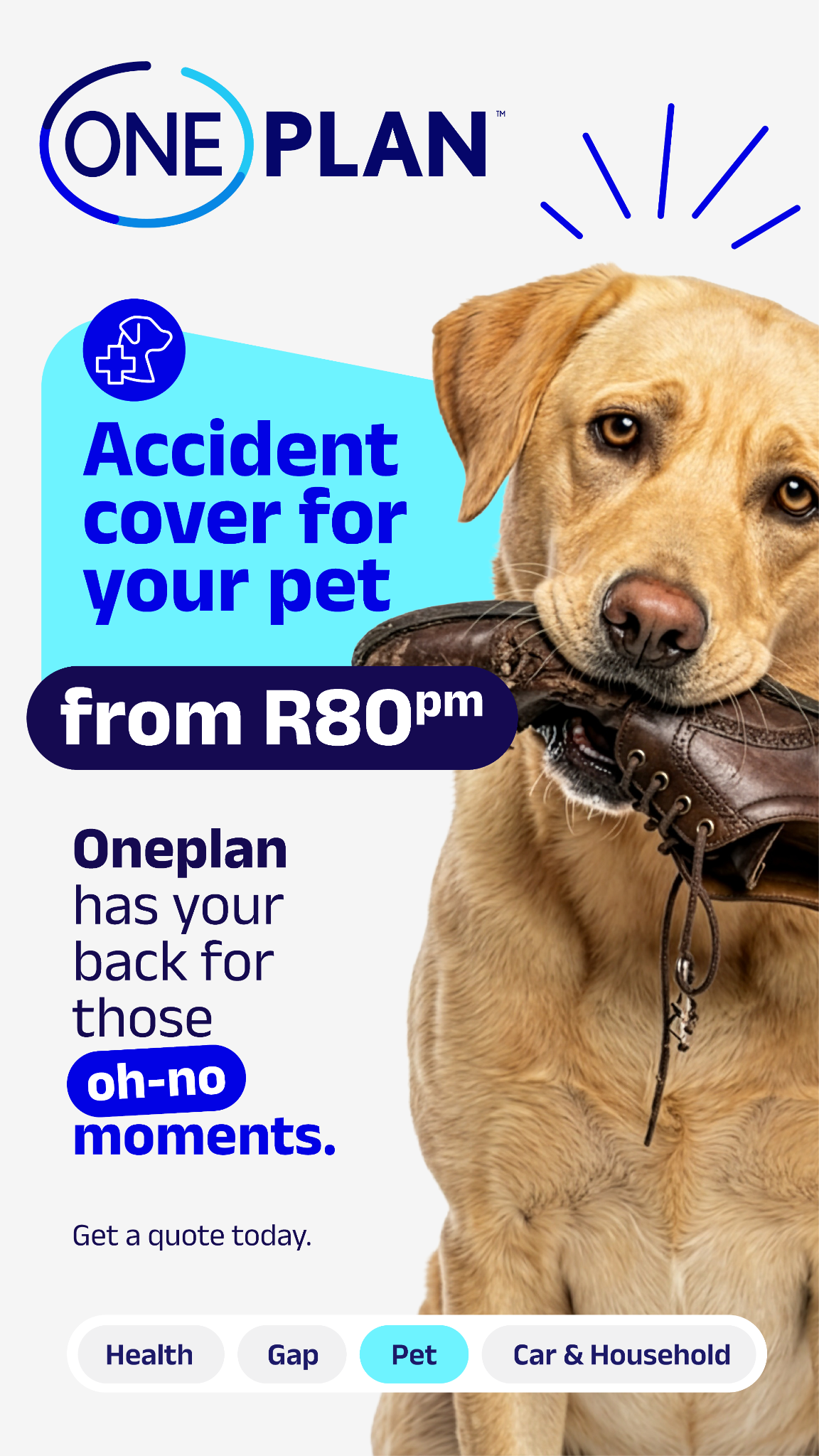 Oneplan Pet Insurance Facebook ad