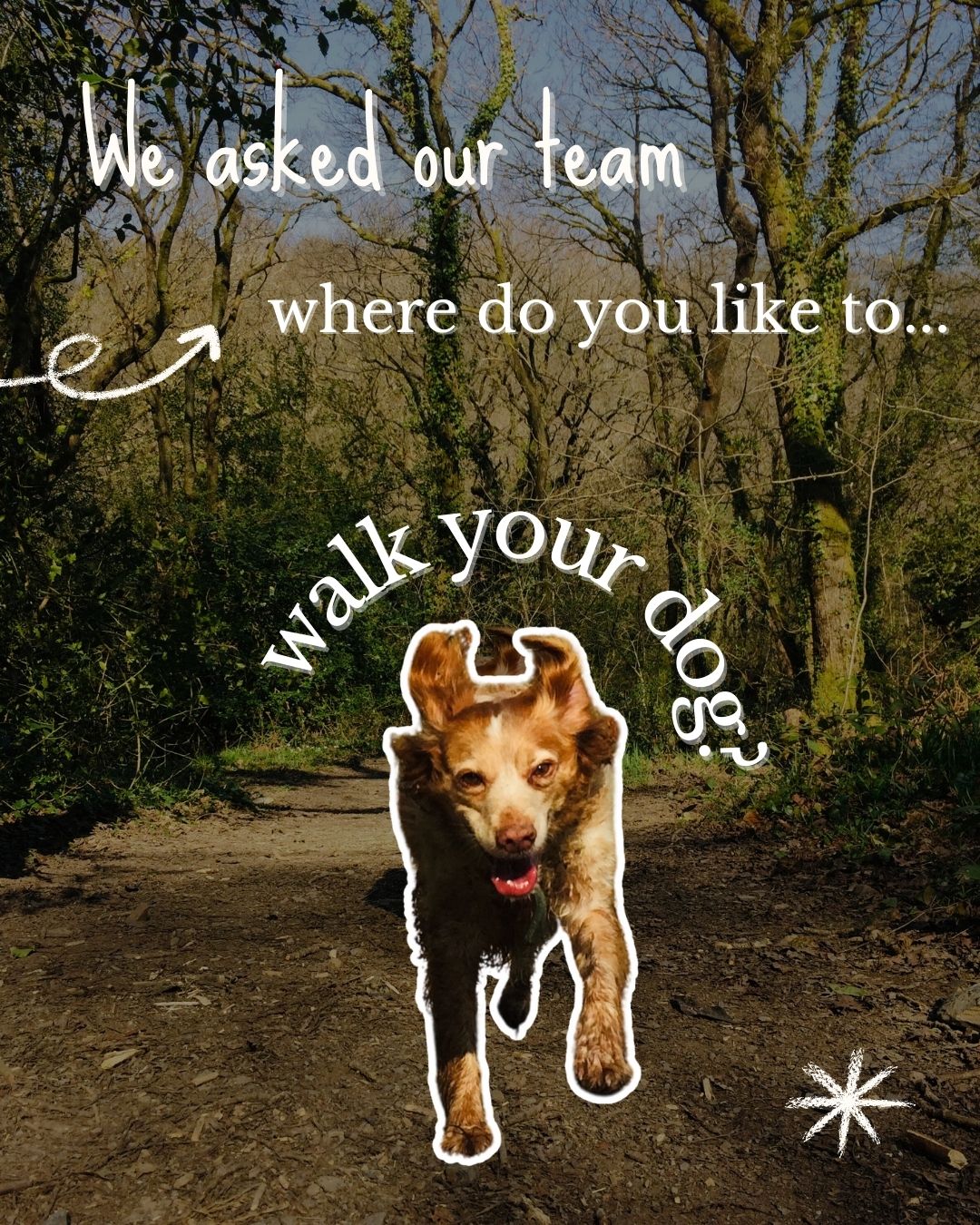 Forthglade Natural Pet Food Facebook ad
