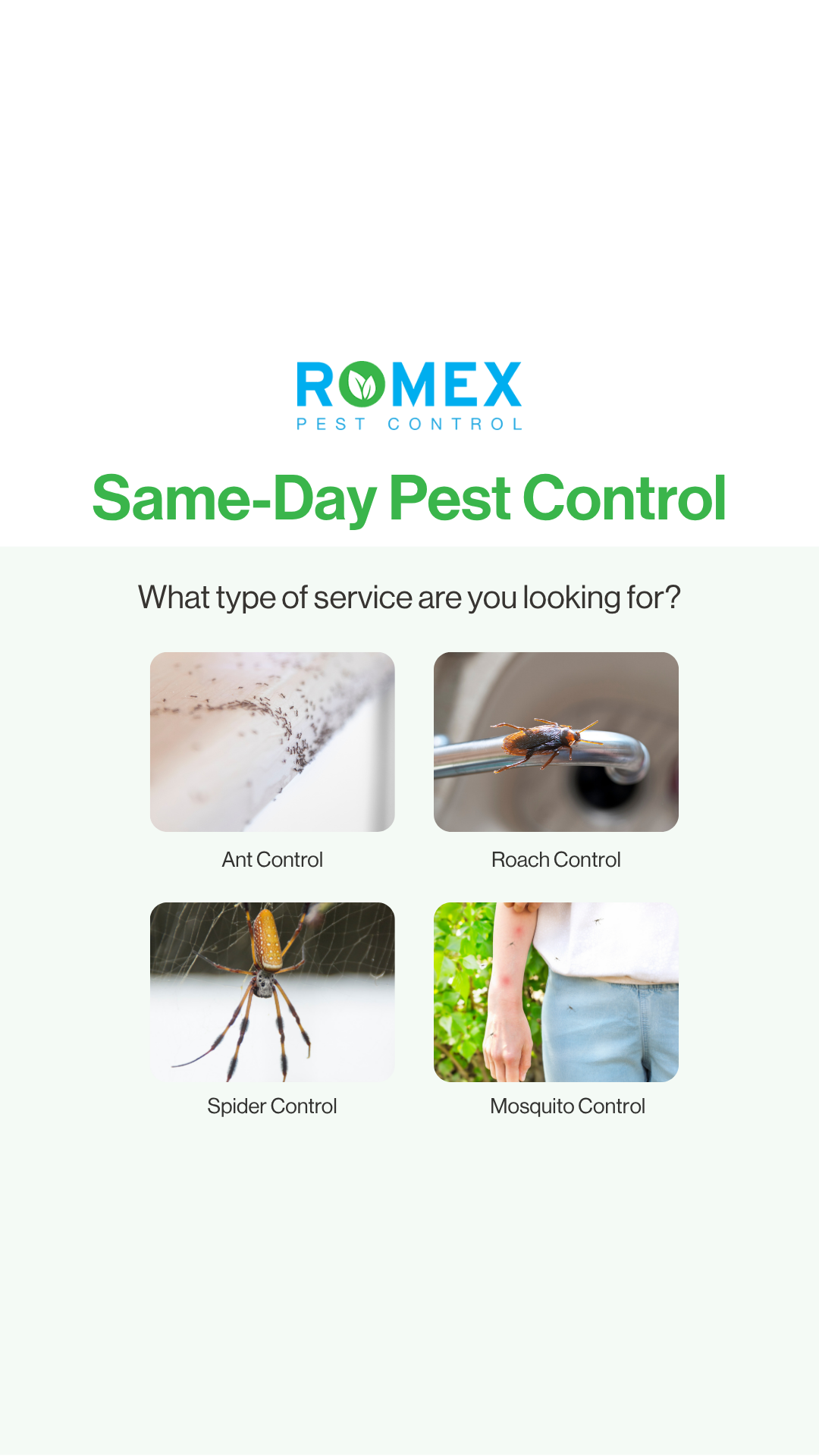Romex Pest Control Facebook ad