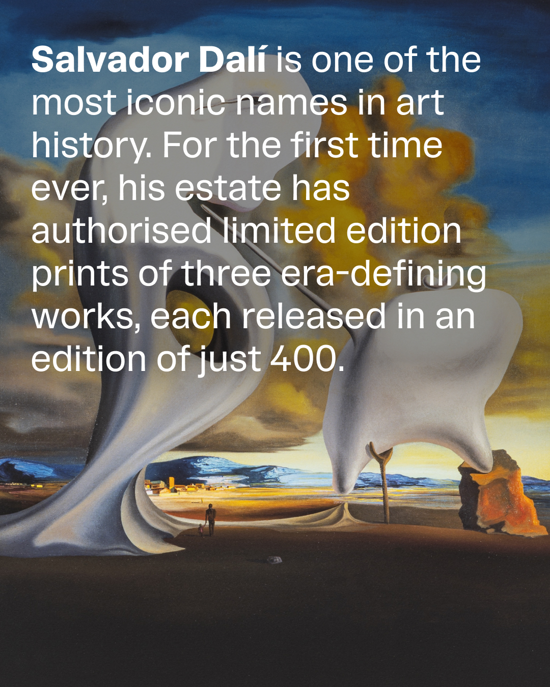 Avant Arte Facebook ad