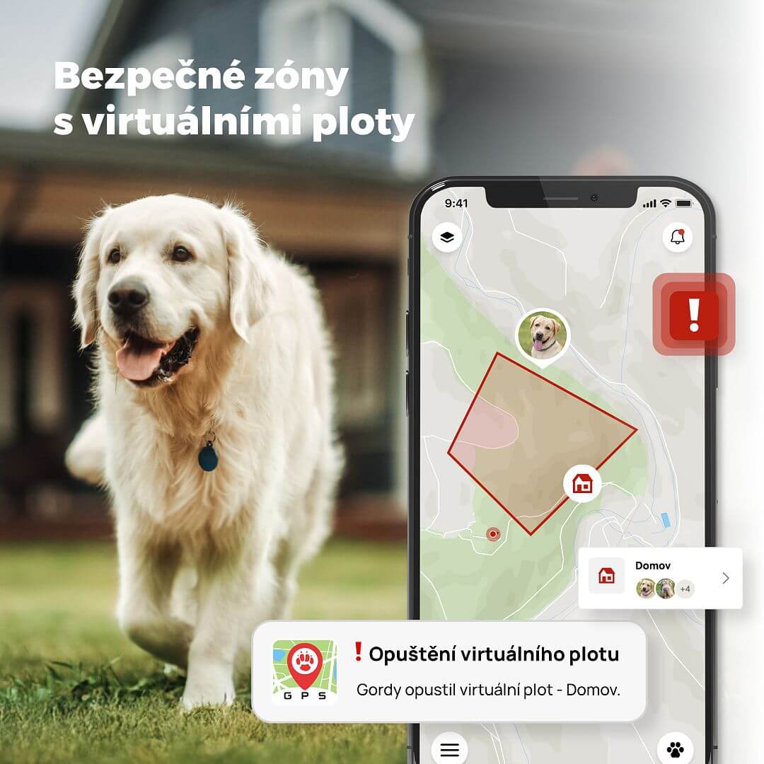 DOG TRACE Official Facebook ad