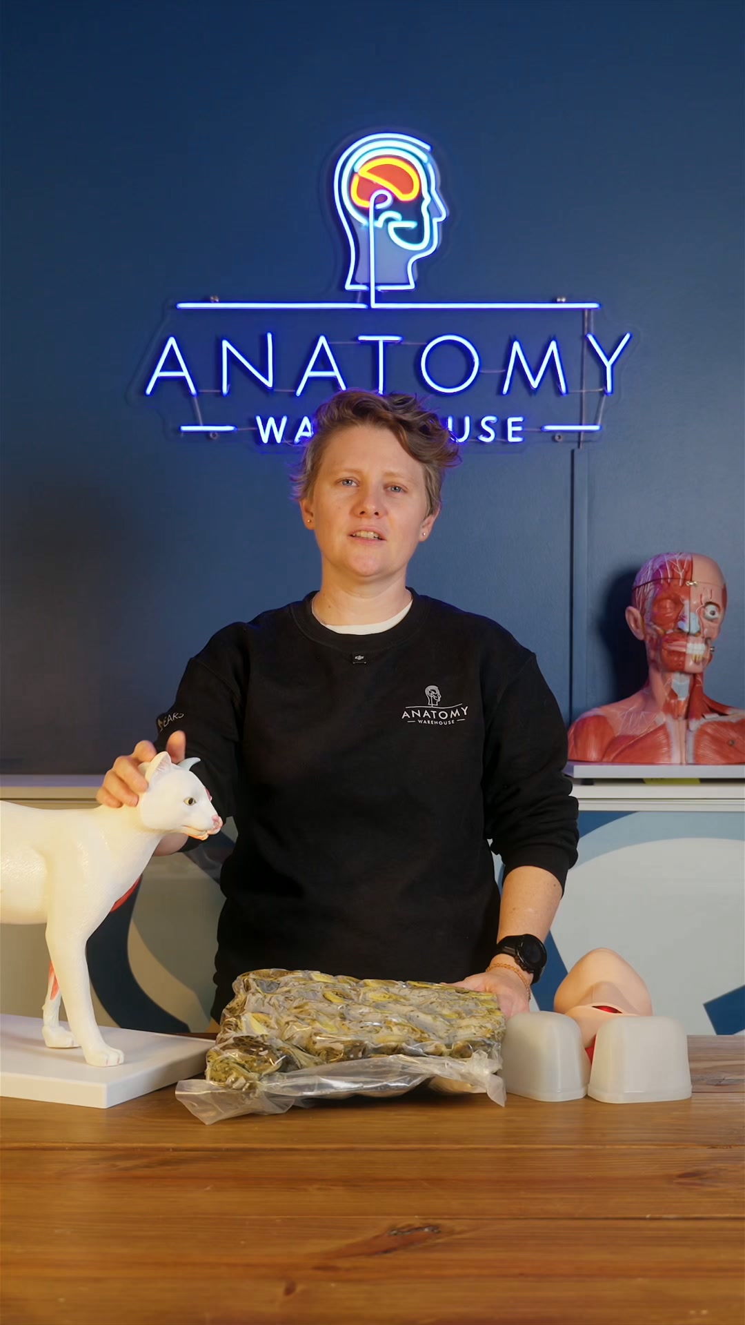 Anatomy Warehouse Facebook ad from Sep 15, 2026