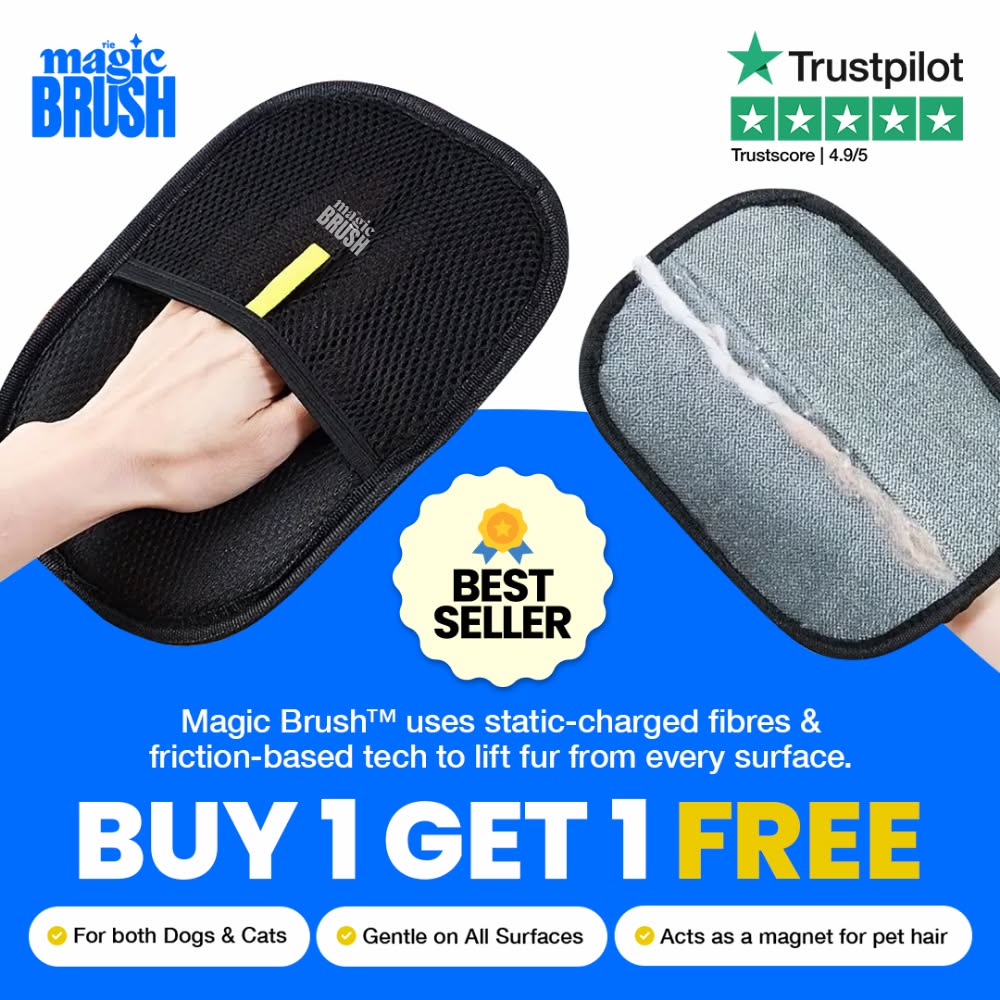 Magic Brush Co Facebook ad
