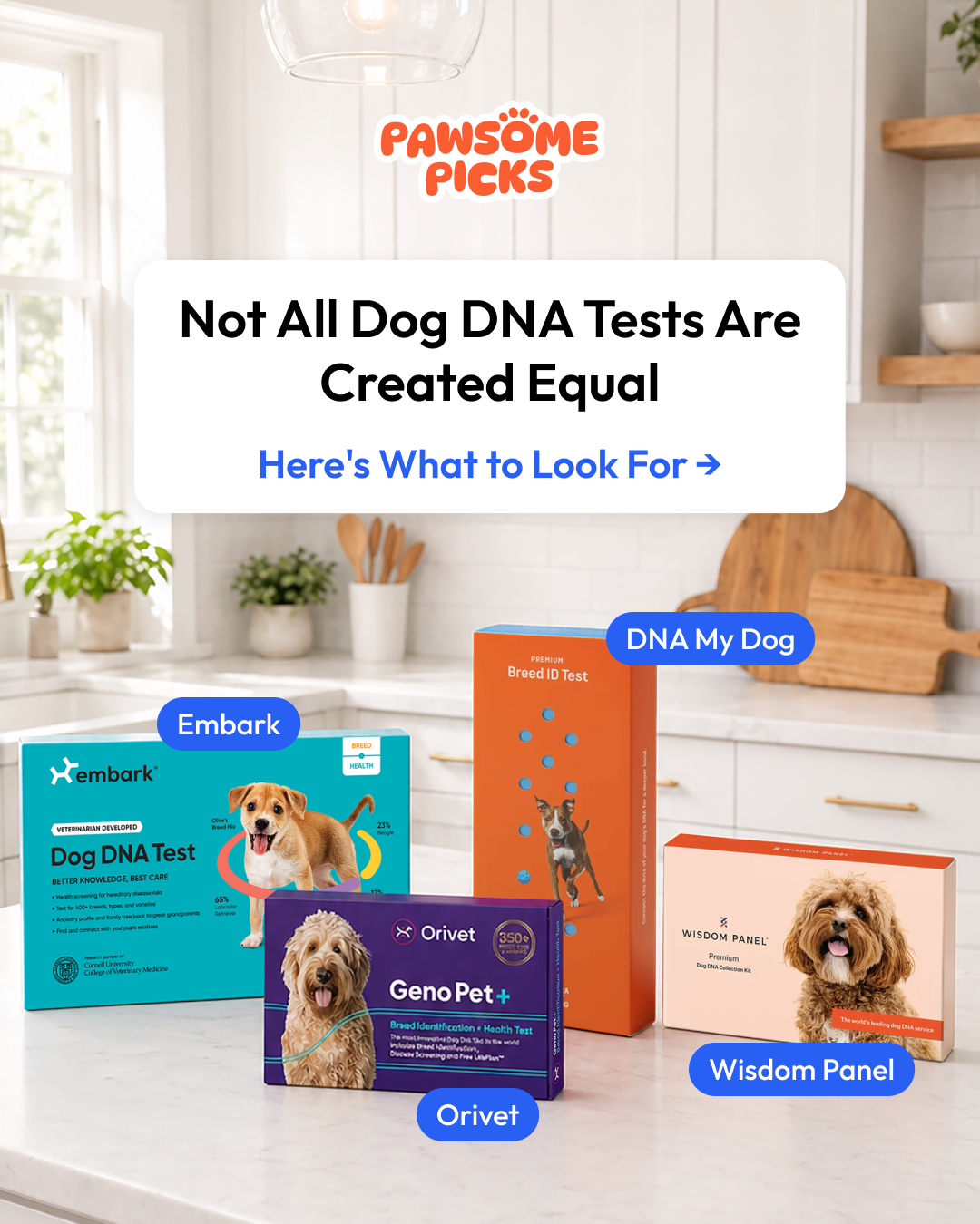 Pawsome Picks Facebook ad