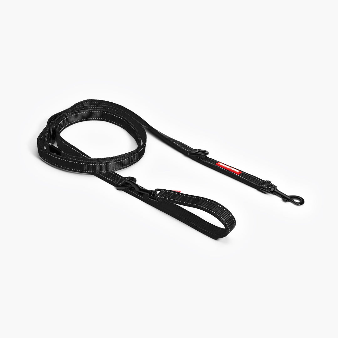 EzyDog Europe Facebook ad