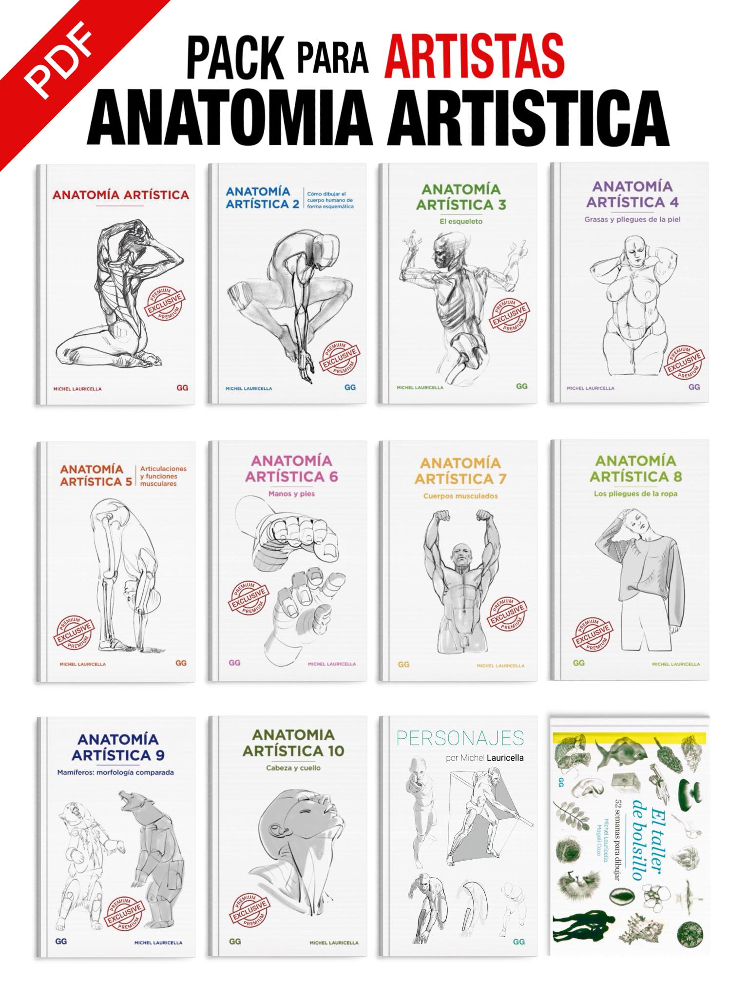 Formato Artistico Facebook ad: ANATOMIA ARTISTICA