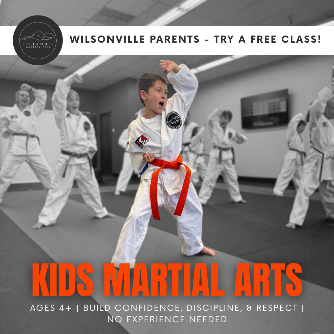 Ireland's Martial Arts Facebook ad: 1st Class for Kids is Free