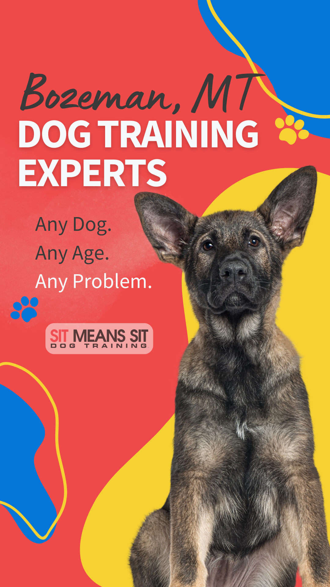 Sit Means Sit Dog Training - Bozeman Facebook ad from Nov 13, 2025