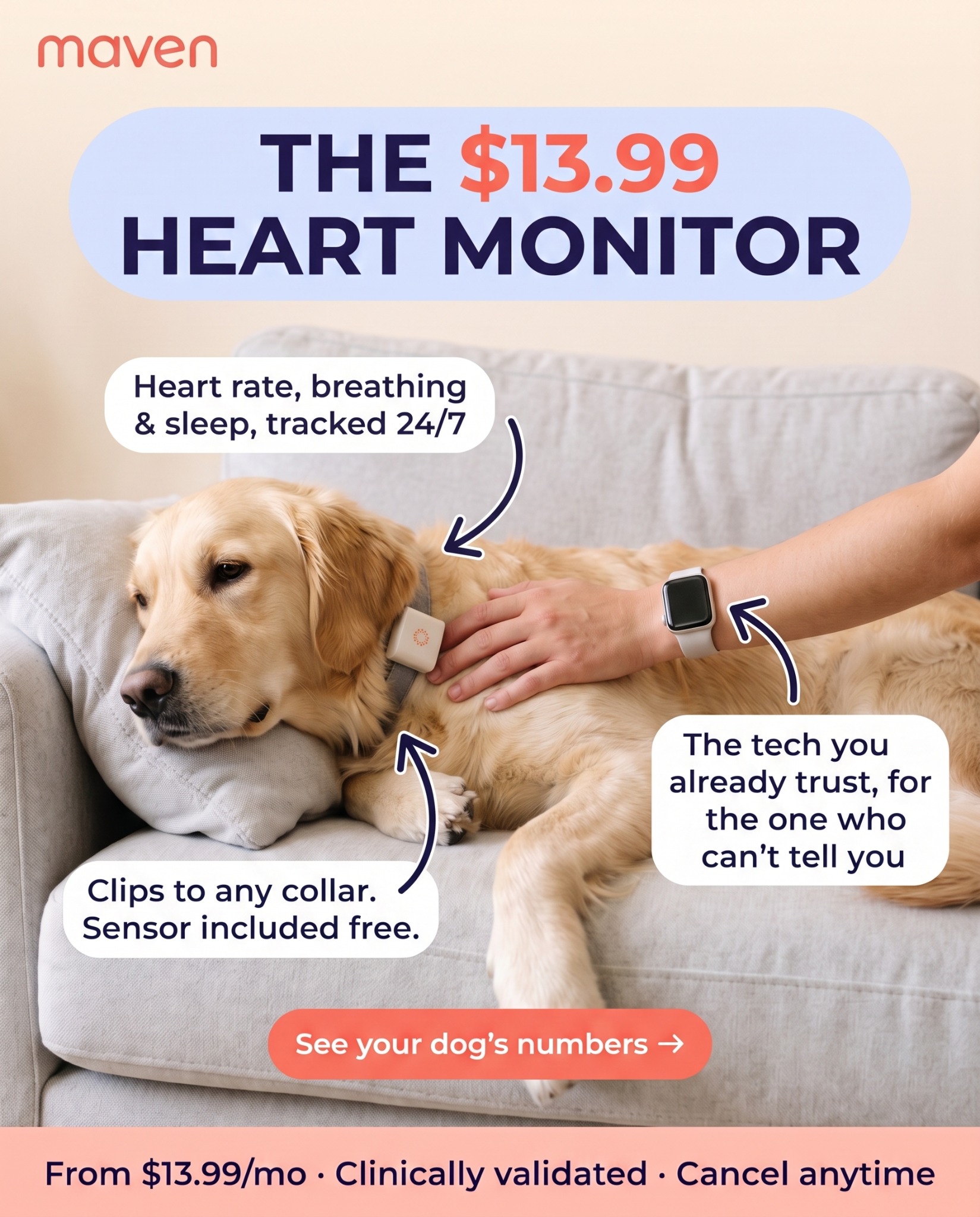 Maven Pet Facebook ad