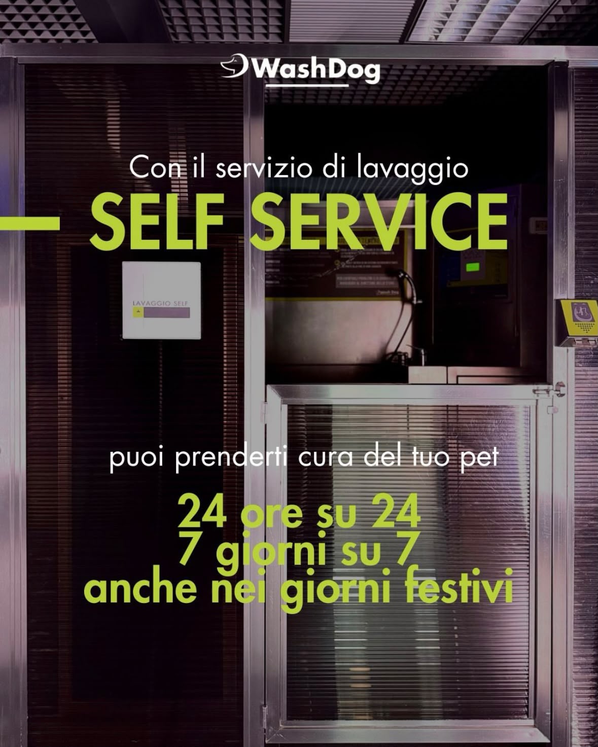 Wash Dog Civitanova Marche Facebook ad: Quando vuoi, dve vuoi.