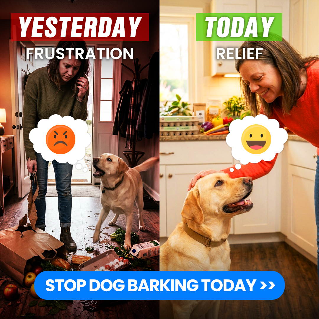 Mike James Dog Training Facebook ad