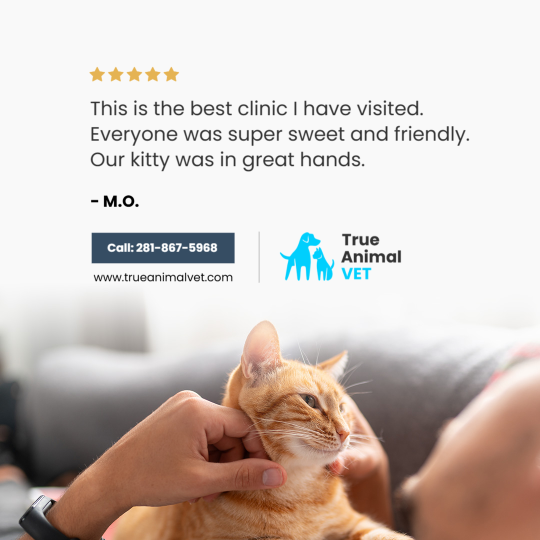 True Animal Vet Facebook ad