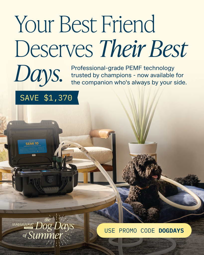 MagnaWave Corporate - Wellness and Pain Relief Facebook ad: Your Best Friend Deserves Their Best Days