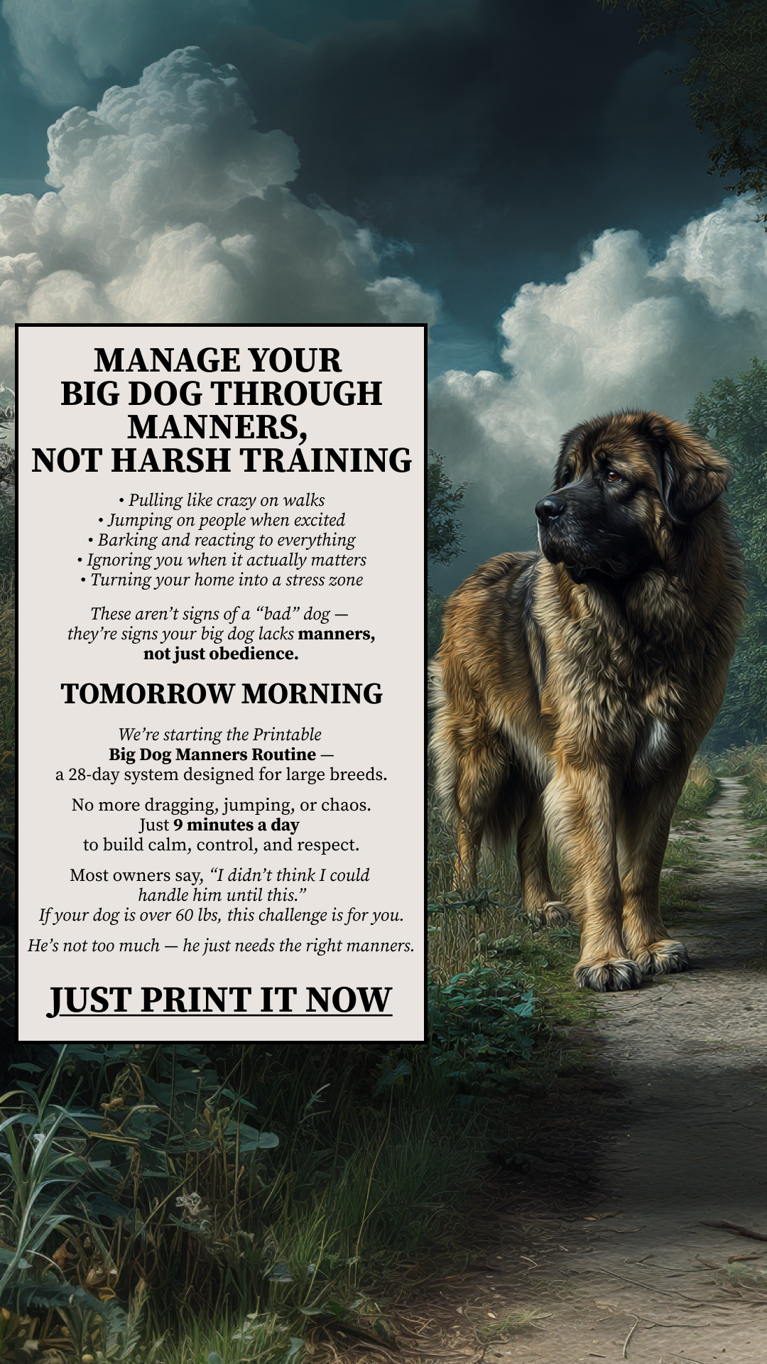 Cooper Vance Facebook ad: Start Dog Obedience Challenge