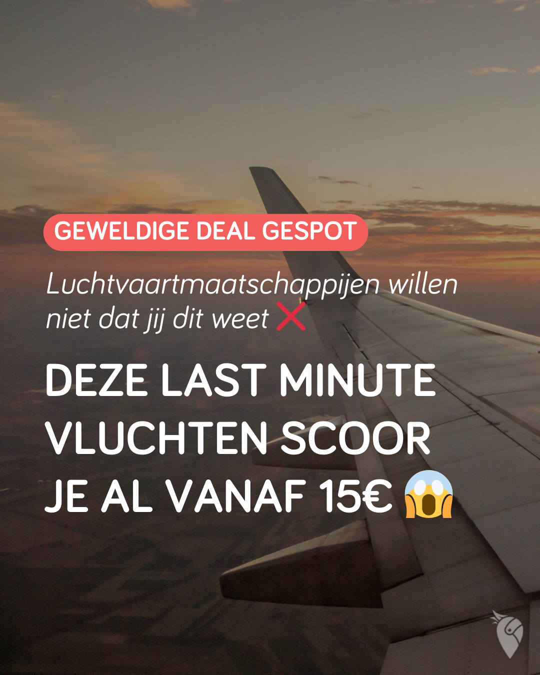 VakantiePiraten.nl Facebook ad