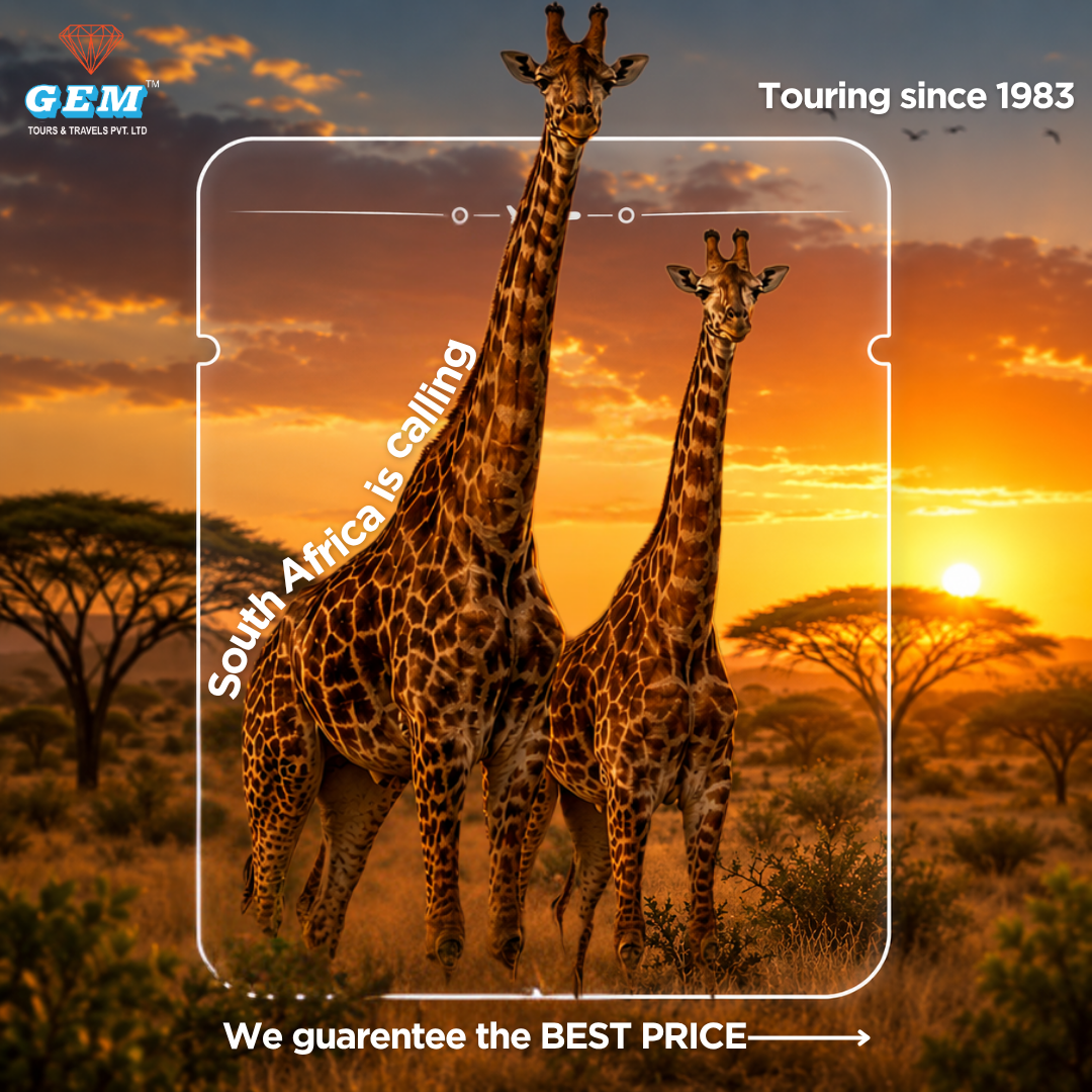 Gem Tours and Travels Facebook ad: Here’s the game plan.