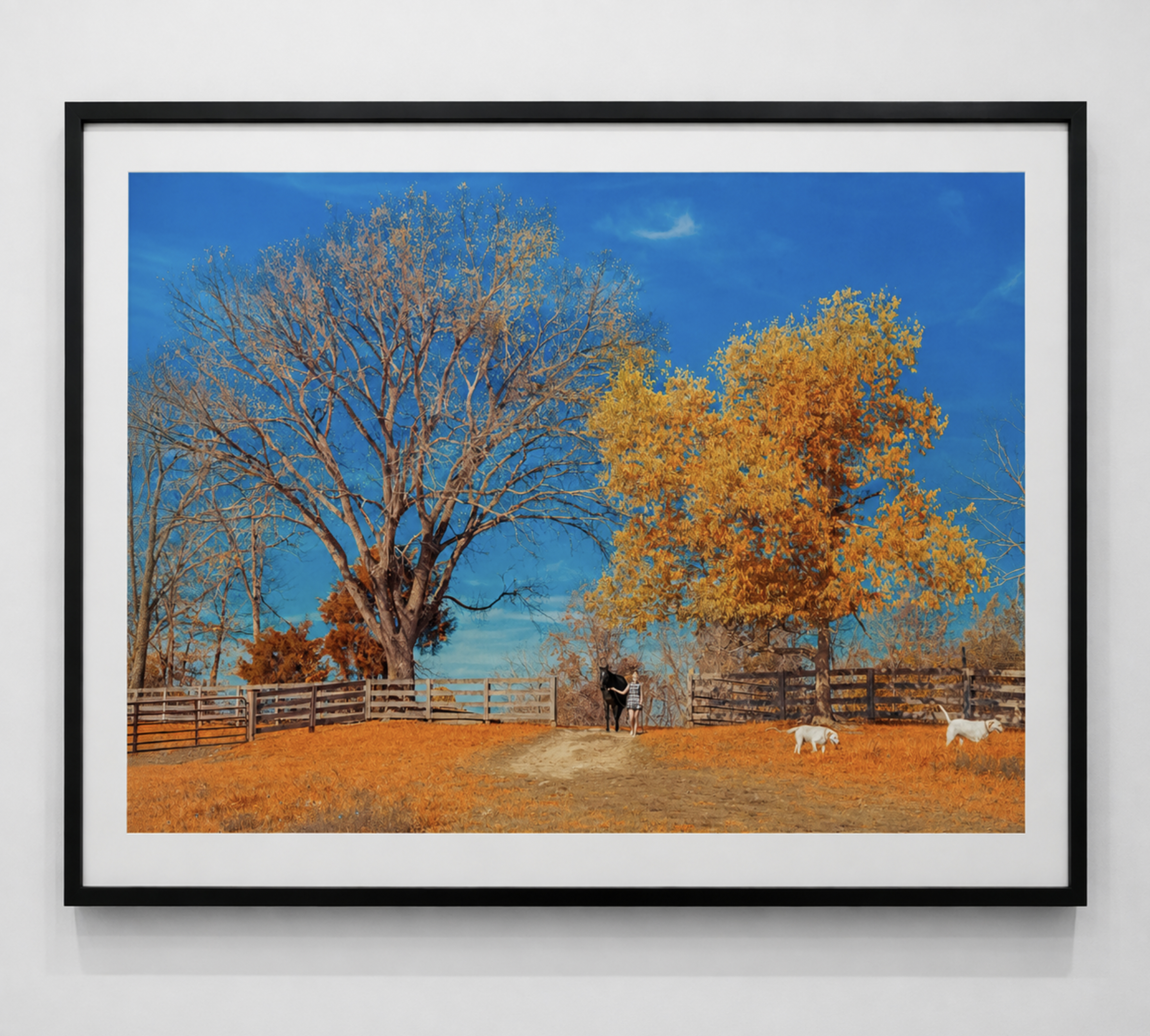 Tyler Shields Facebook ad: Farm Life In Kentucky (2014) by Tyler Shields - For Sale |…