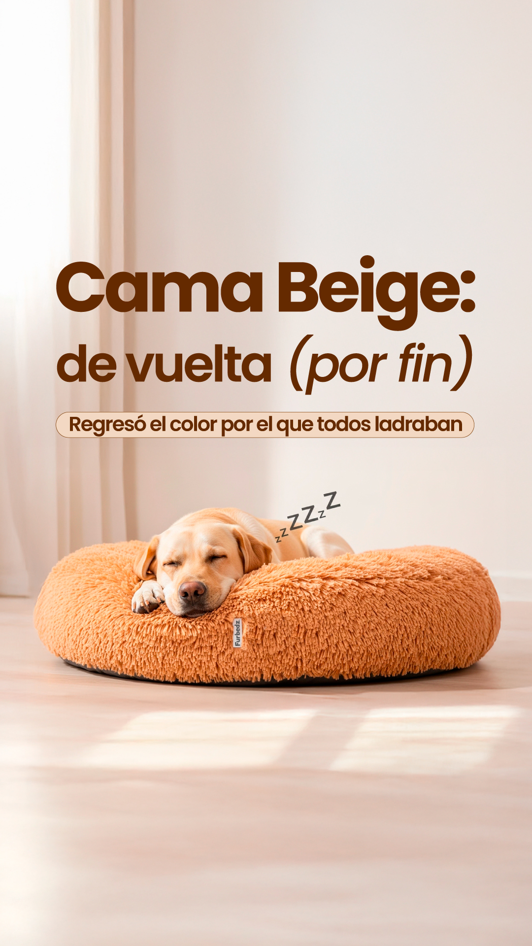 Furbedz Facebook ad