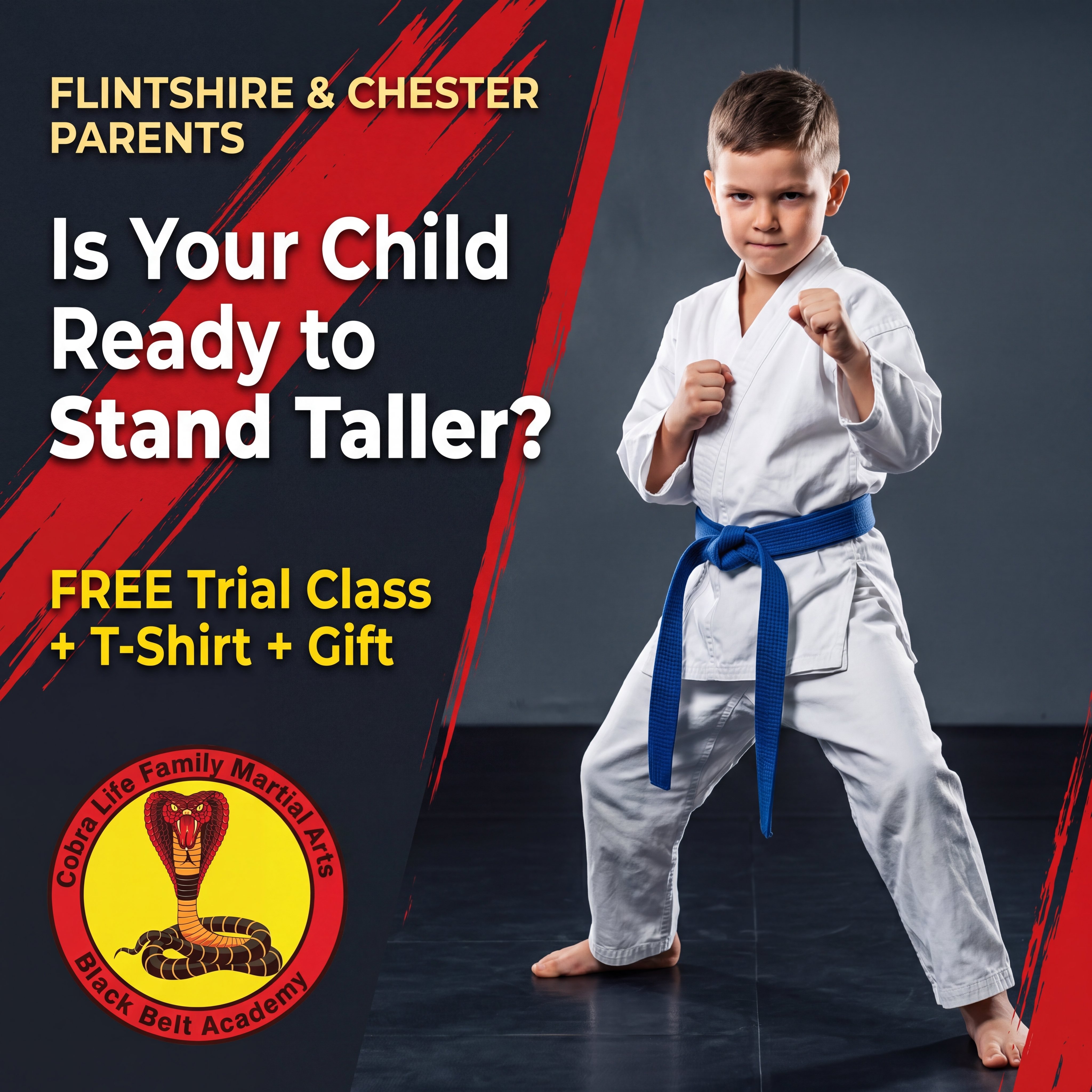 Cobra Life Family Martial Arts Black Belt Academy Facebook ad
