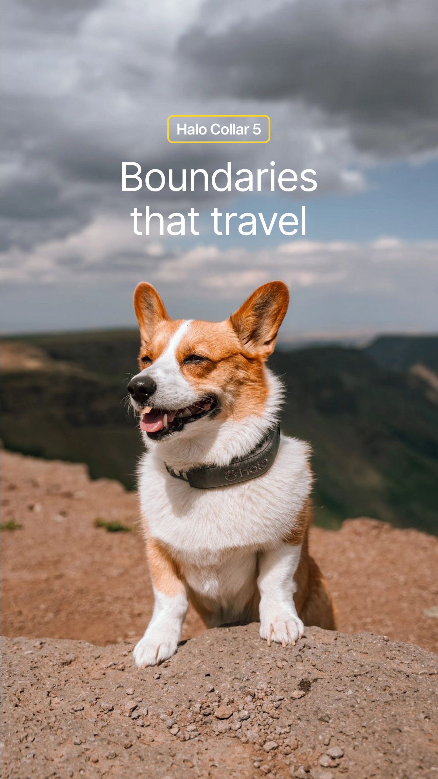 Halo Collar Facebook ad