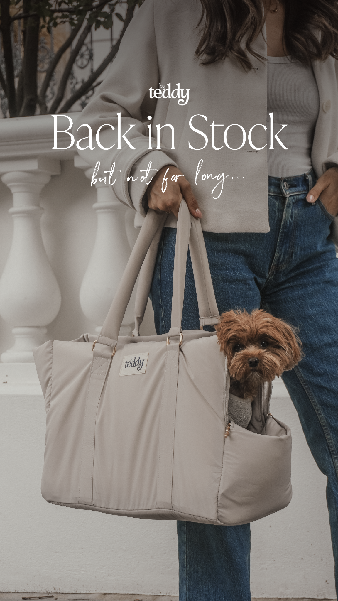 By Teddy Facebook ad