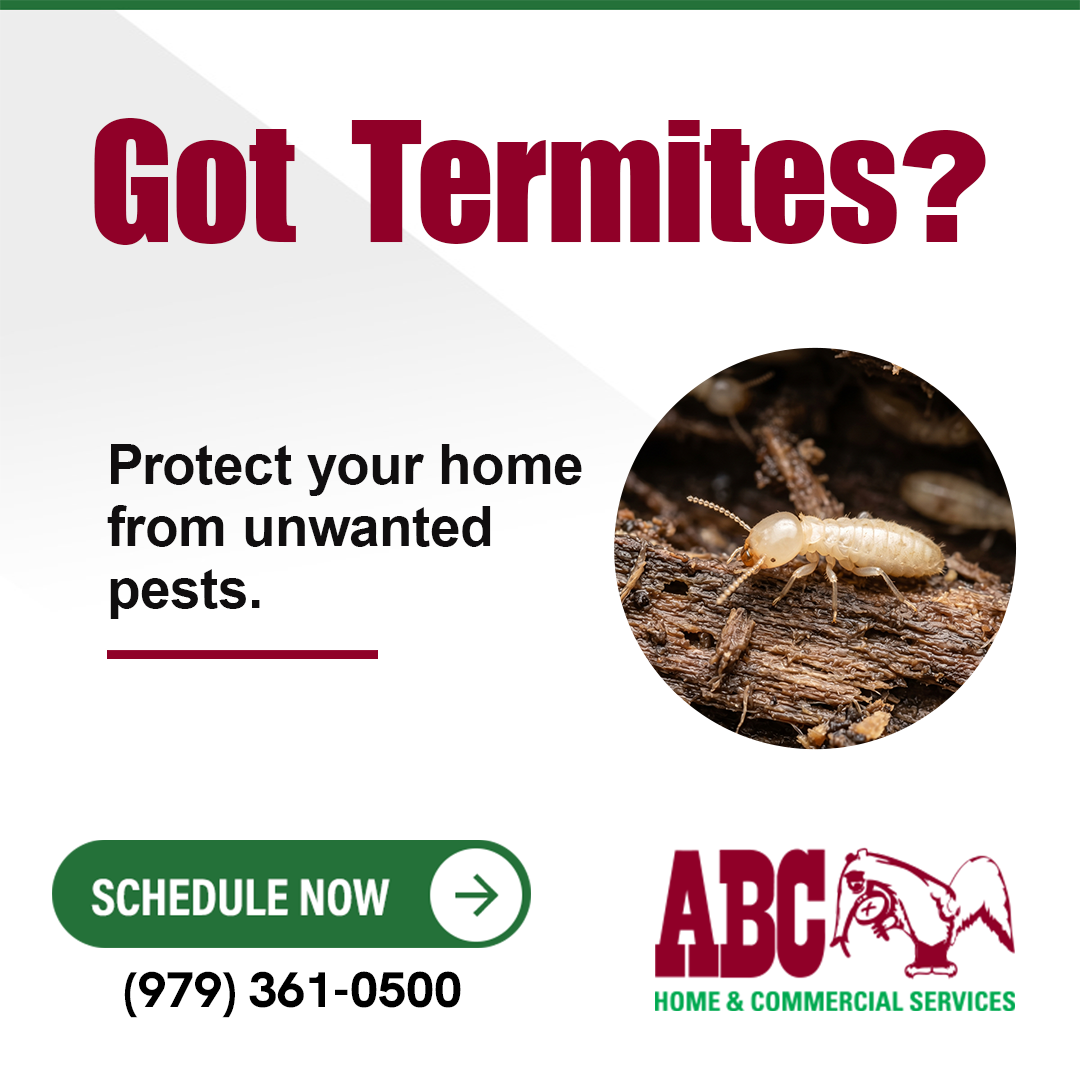 ABC Home & Commercial Services Facebook ad