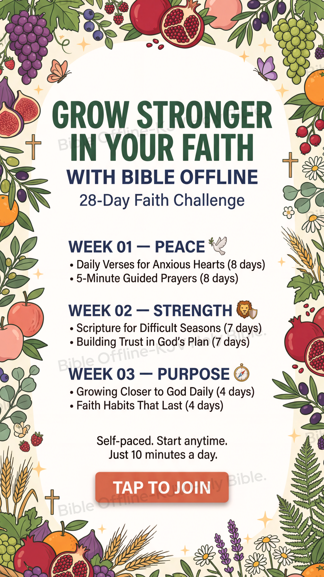 Bible Offline Facebook ad