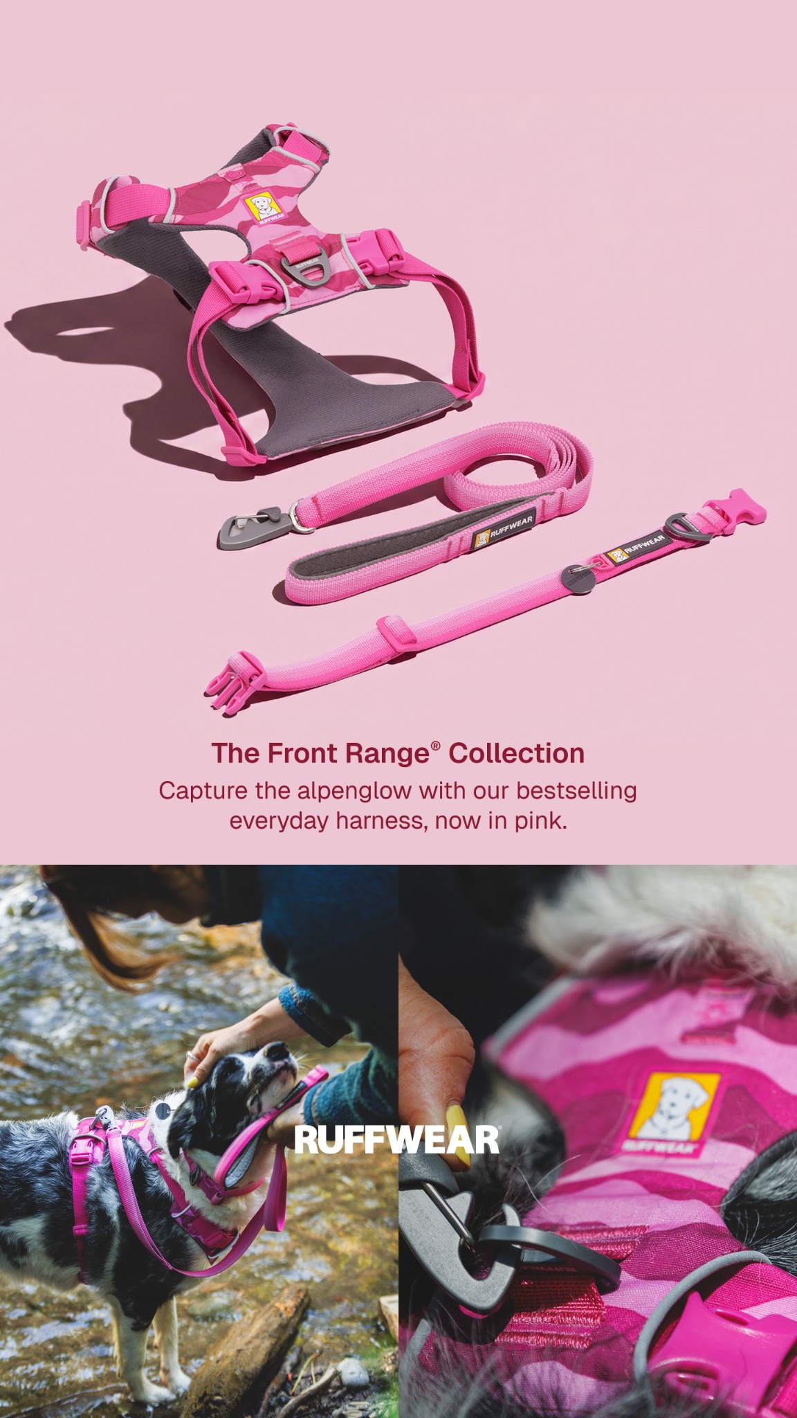 Ruffwear Facebook ad
