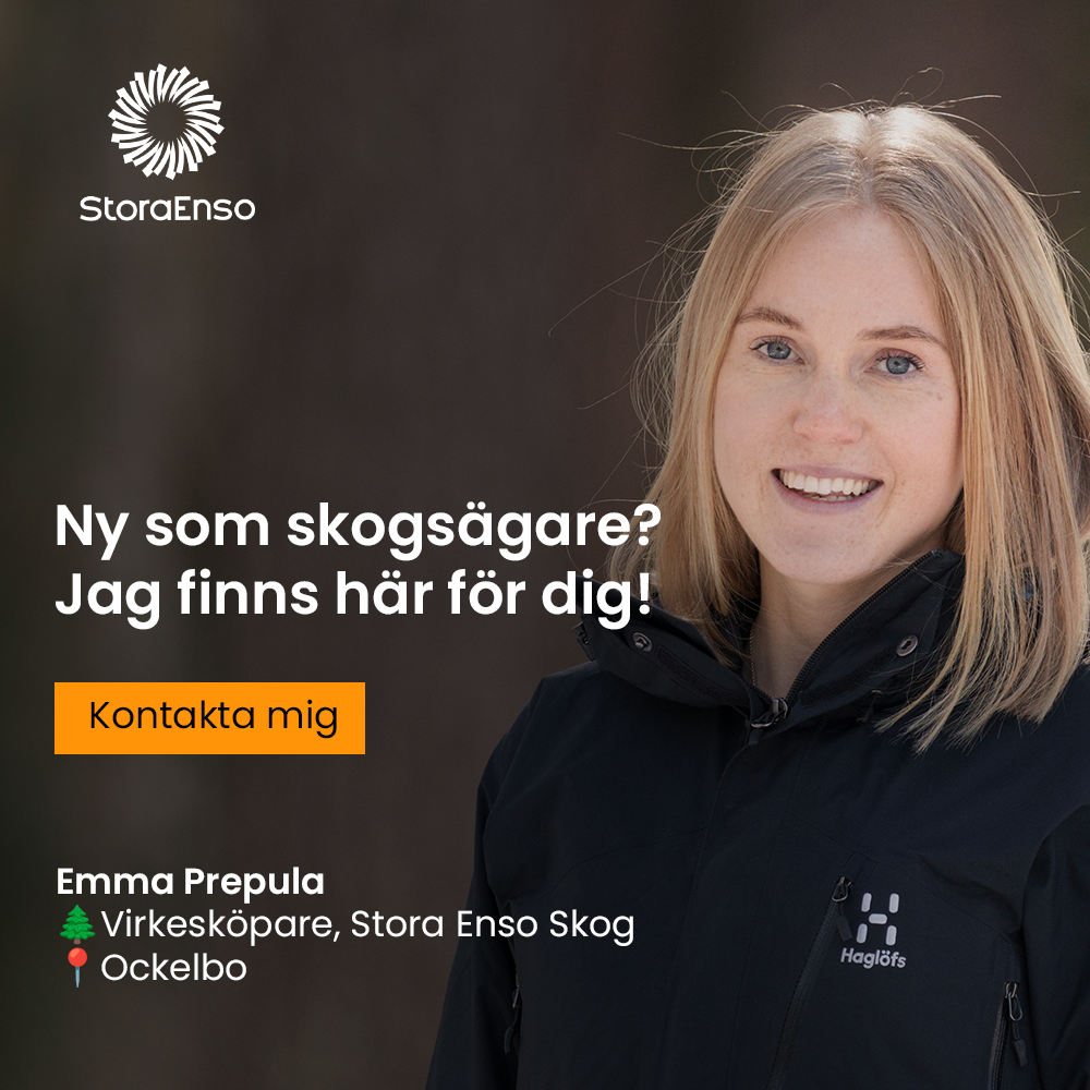 Stora Enso Skog Facebook ad from Nov 18, 2025