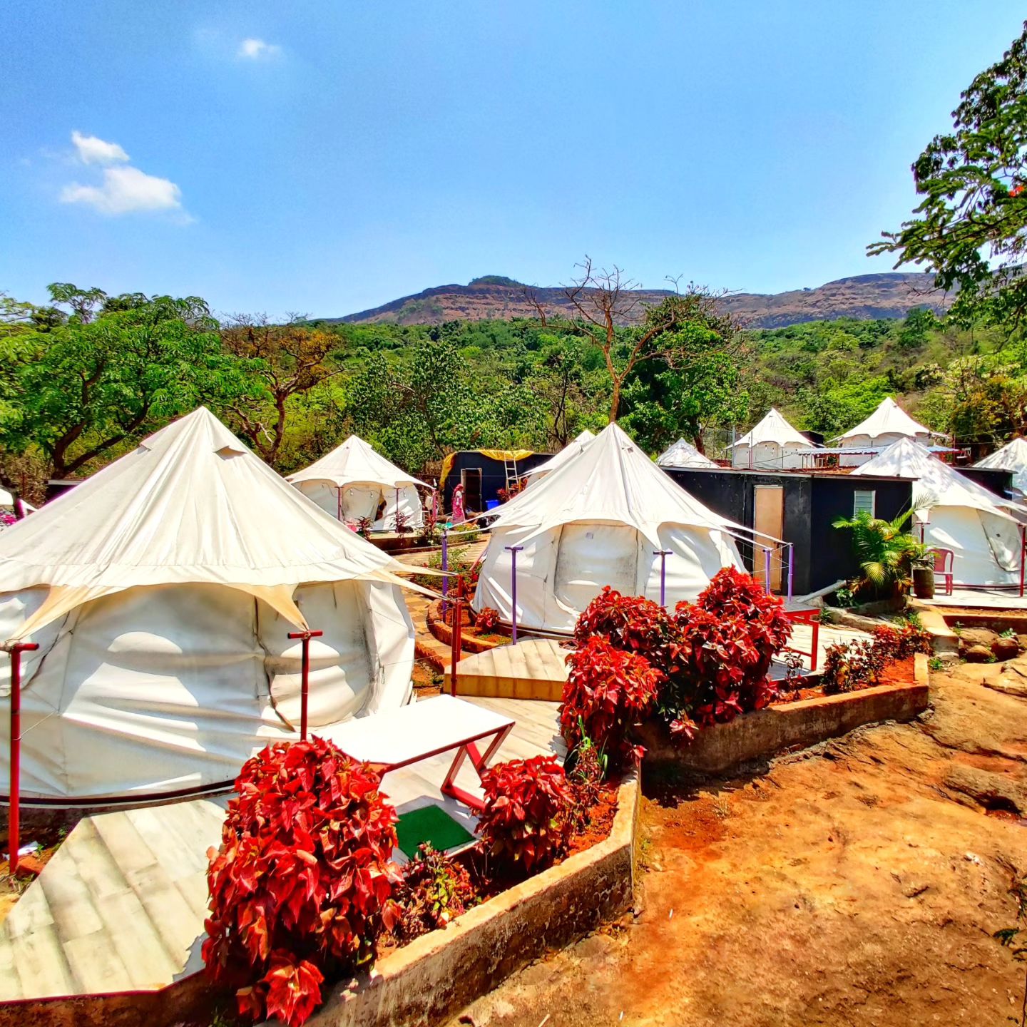 The Lotus Resort Facebook ad: Looking for a fun and exciting vacation destination?