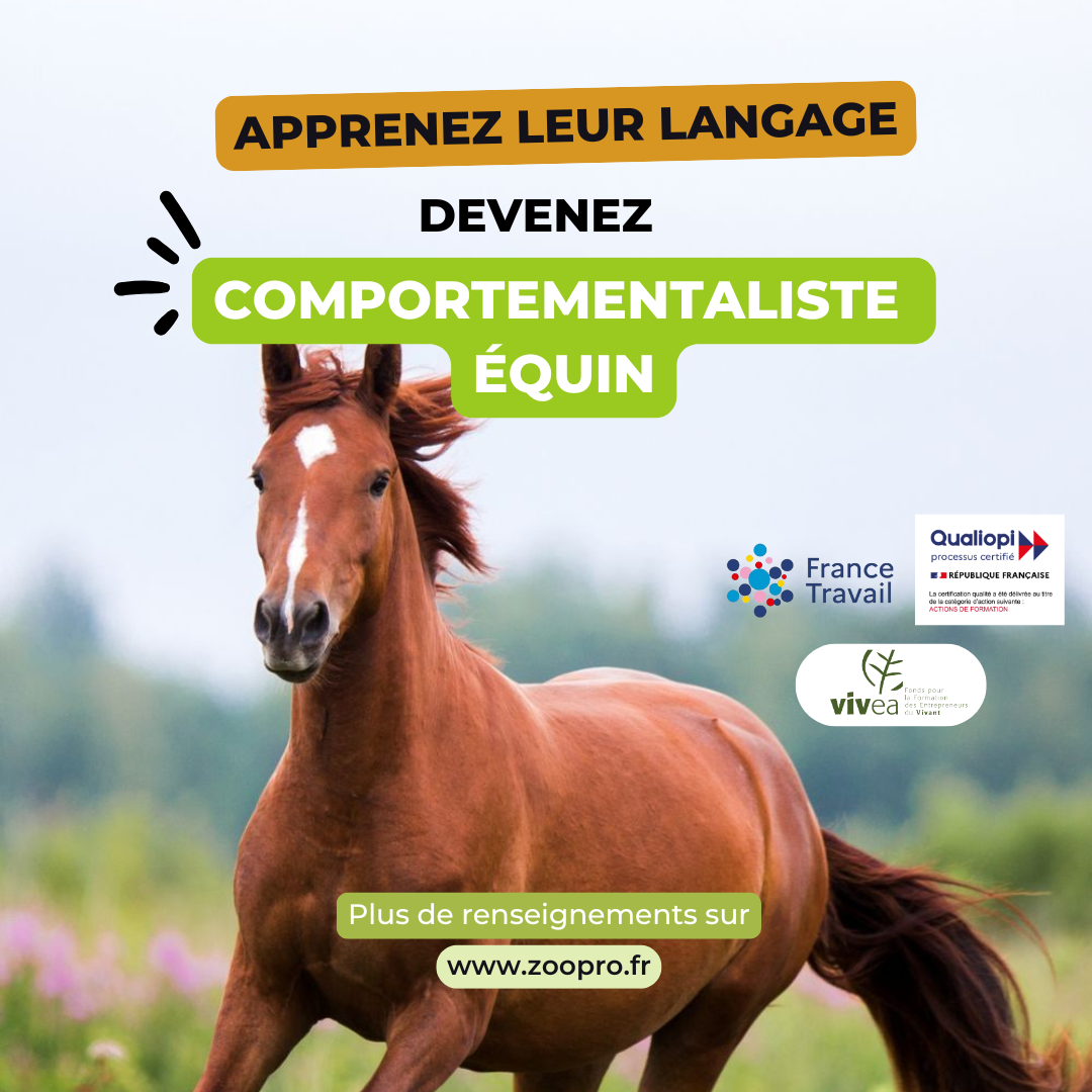 Zoopro - formations sur les animaux Facebook ad