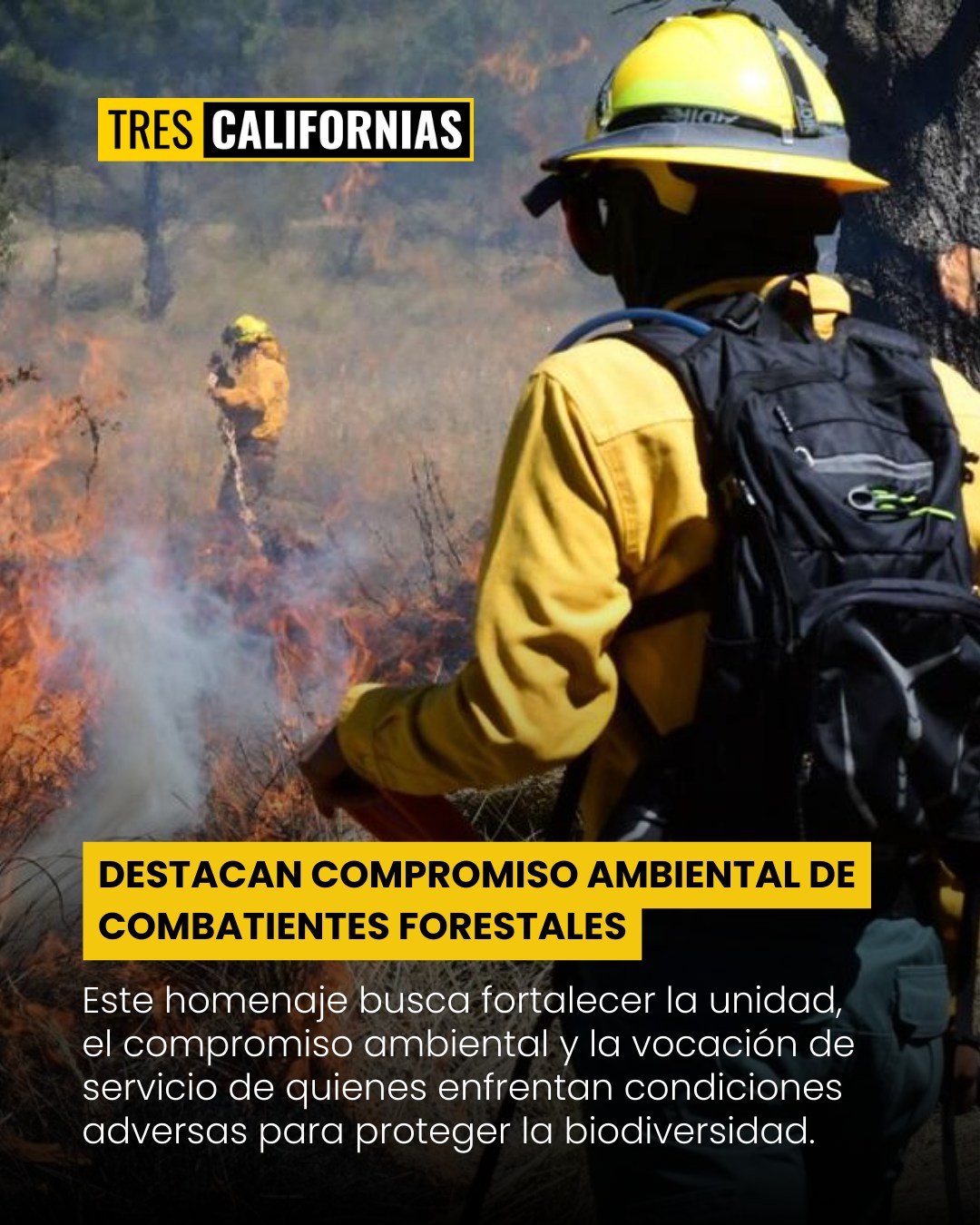 Tres Californias Facebook ad: DESTACAN COMPROMISO AMBIENTAL DE COMBATIENTES FORESTALES