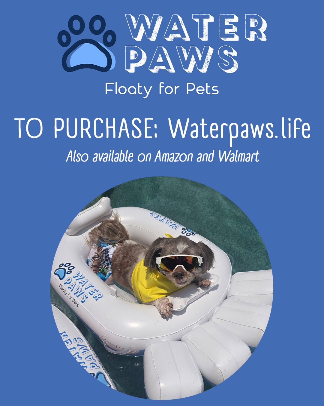 Dallas Observer Facebook ad: Paid Partnership with @waterpawsfloaty | Making water fun…
