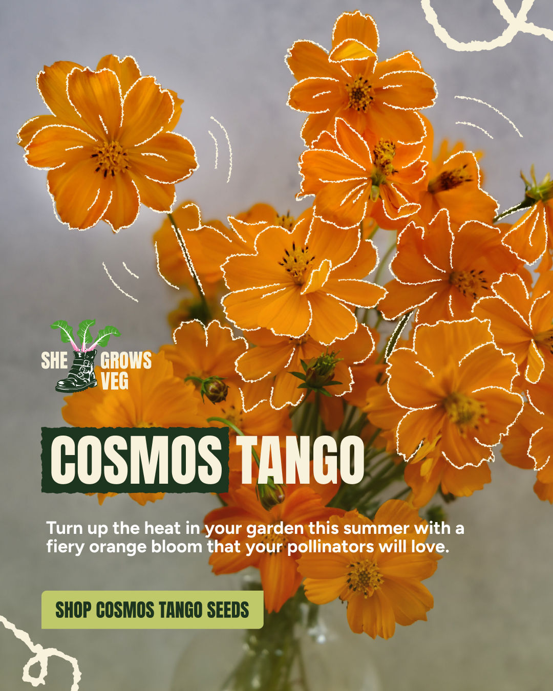 Shegrowsveg Facebook ad from May 7, 2026