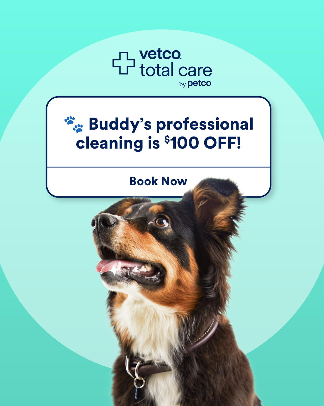 Petco Facebook ad