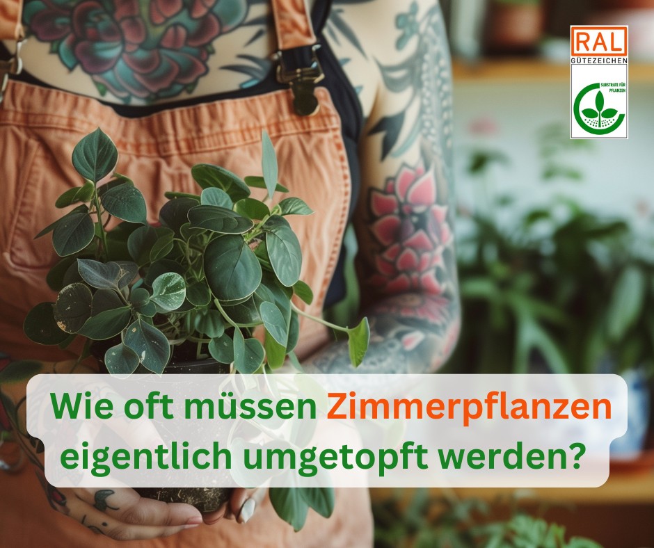 Gütegemeinschaft Substrate für Pflanzen Facebook ad