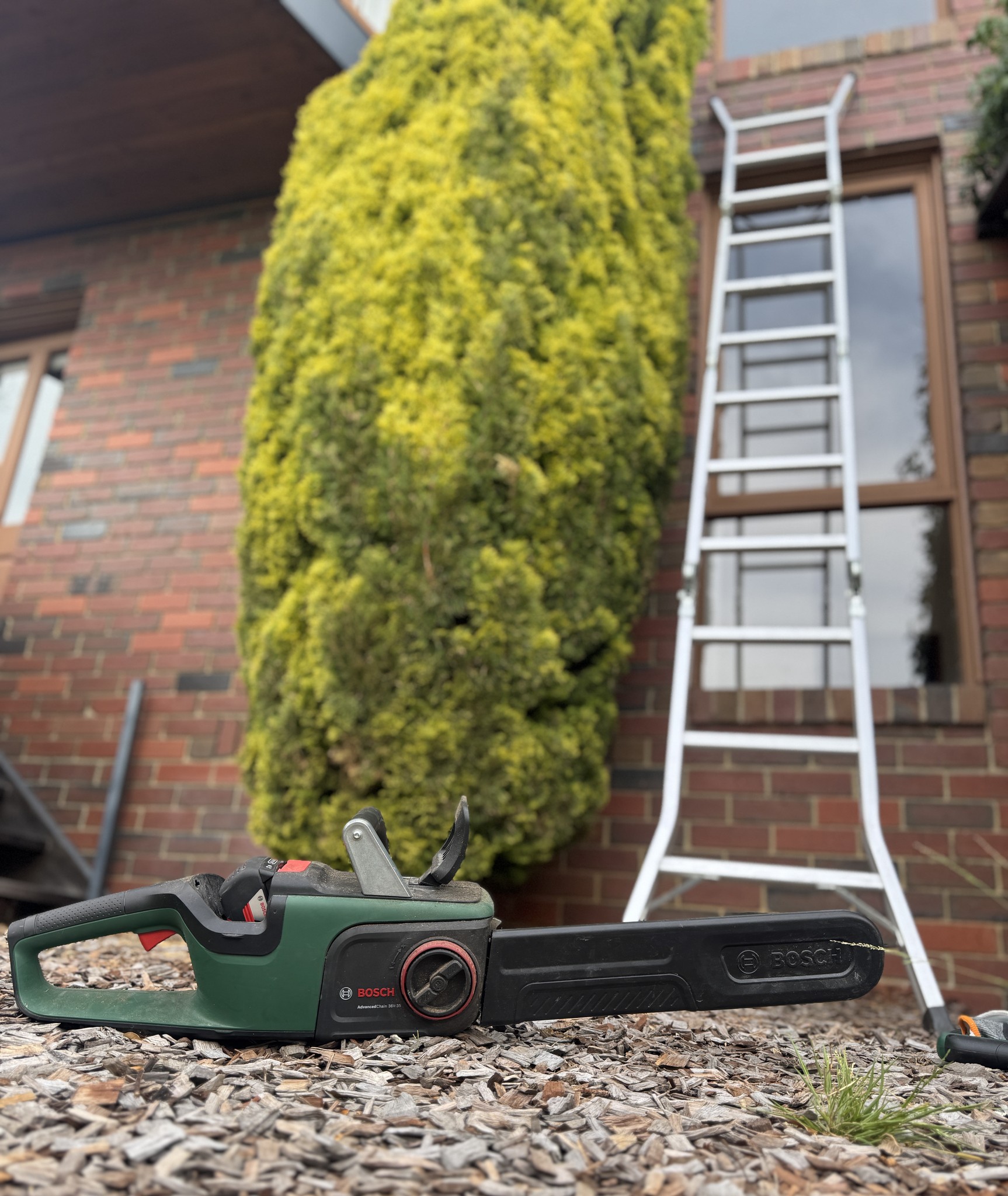 Bosch DIY Power Tools Australia and New Zealand Facebook ad from Feb 12, 2026