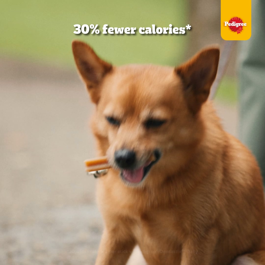Pedigree UK Facebook ad: Help combat Bad Mouth daily