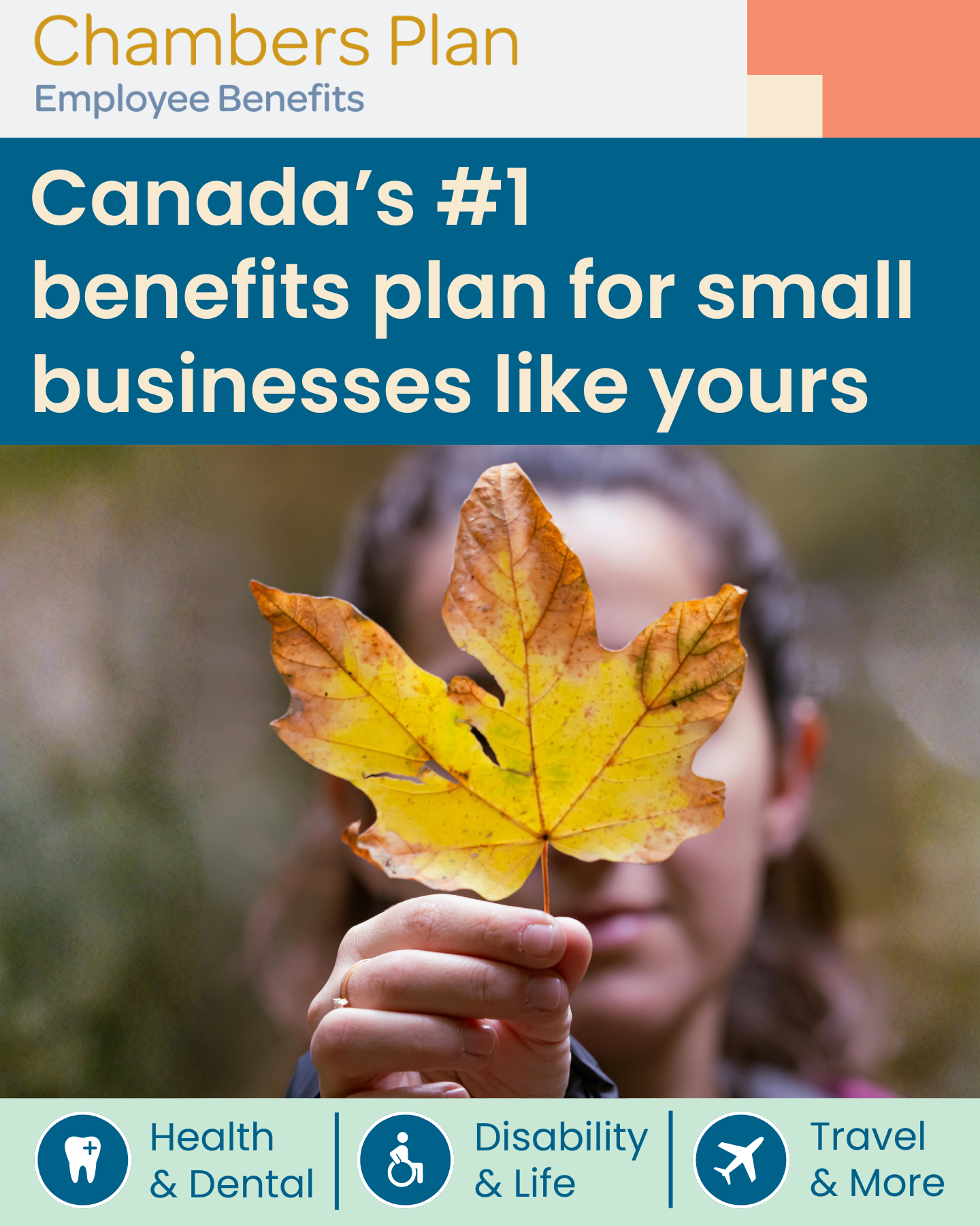 Chambers of Commerce Group Insurance Plan Facebook ad